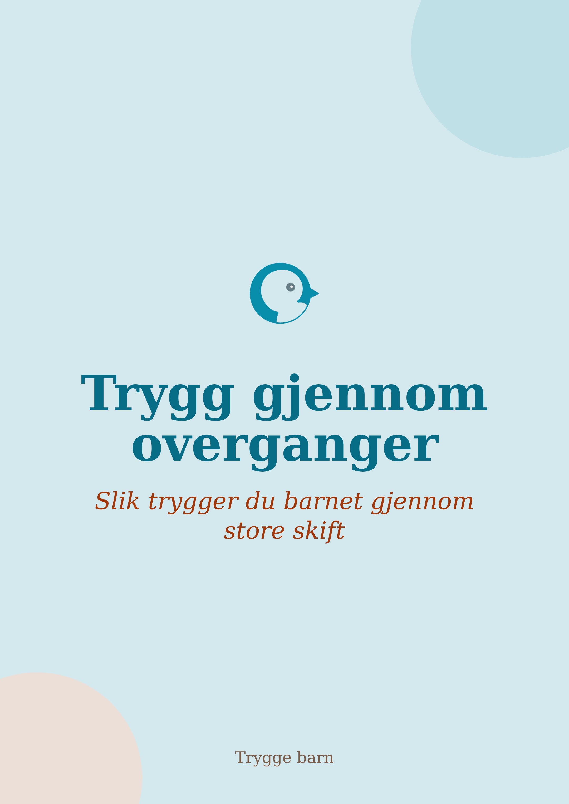 Trygg gjennom overganger