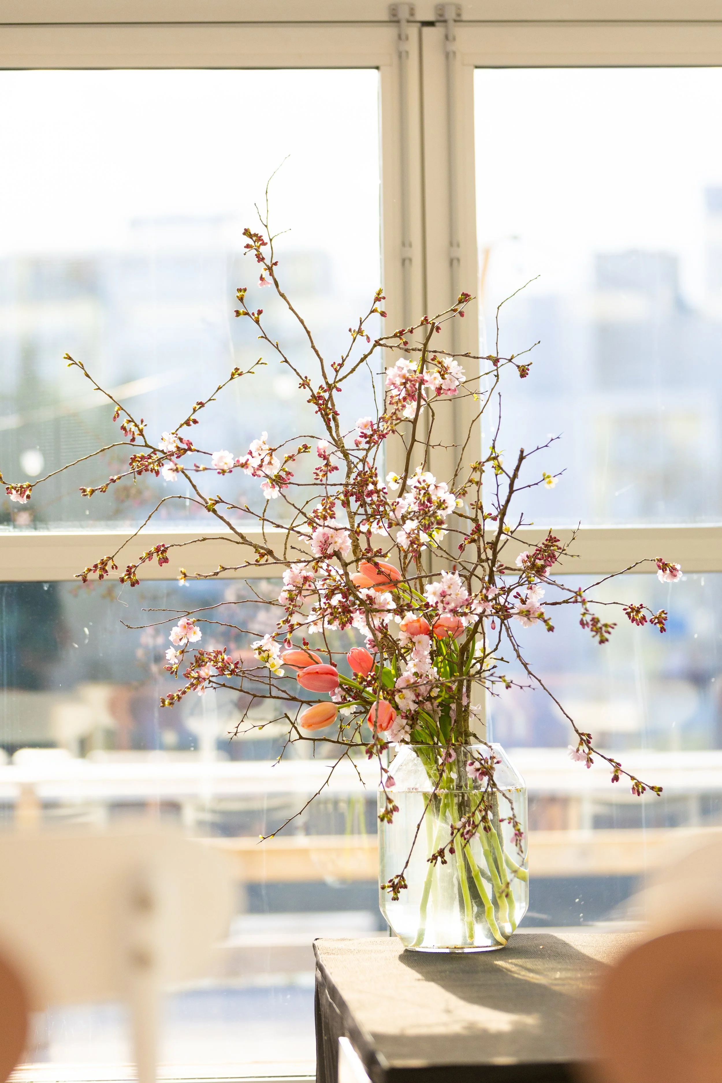 Soirée HP-Plantation Traitée HD-14.jpg