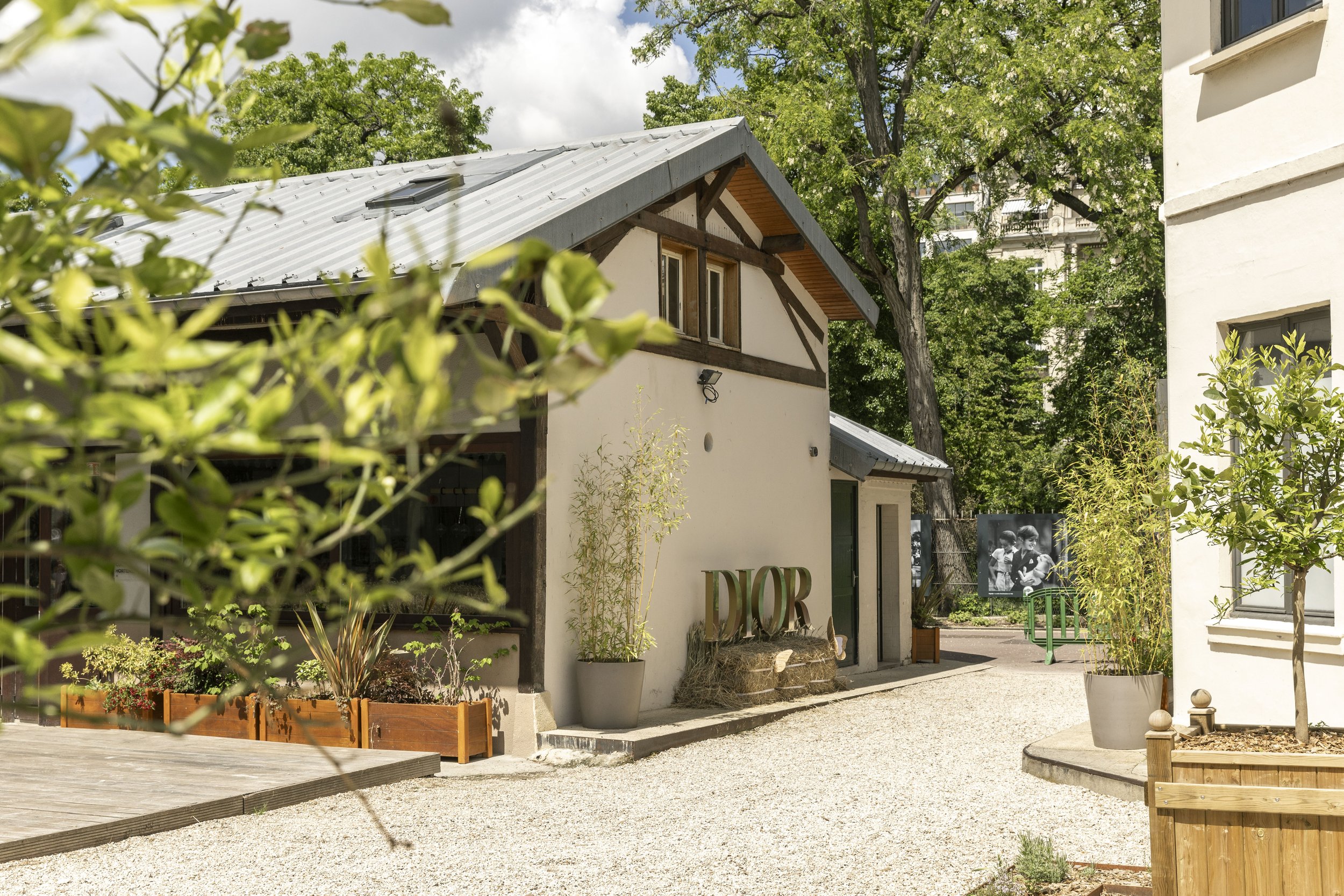 Dior Traitée-9978.jpg