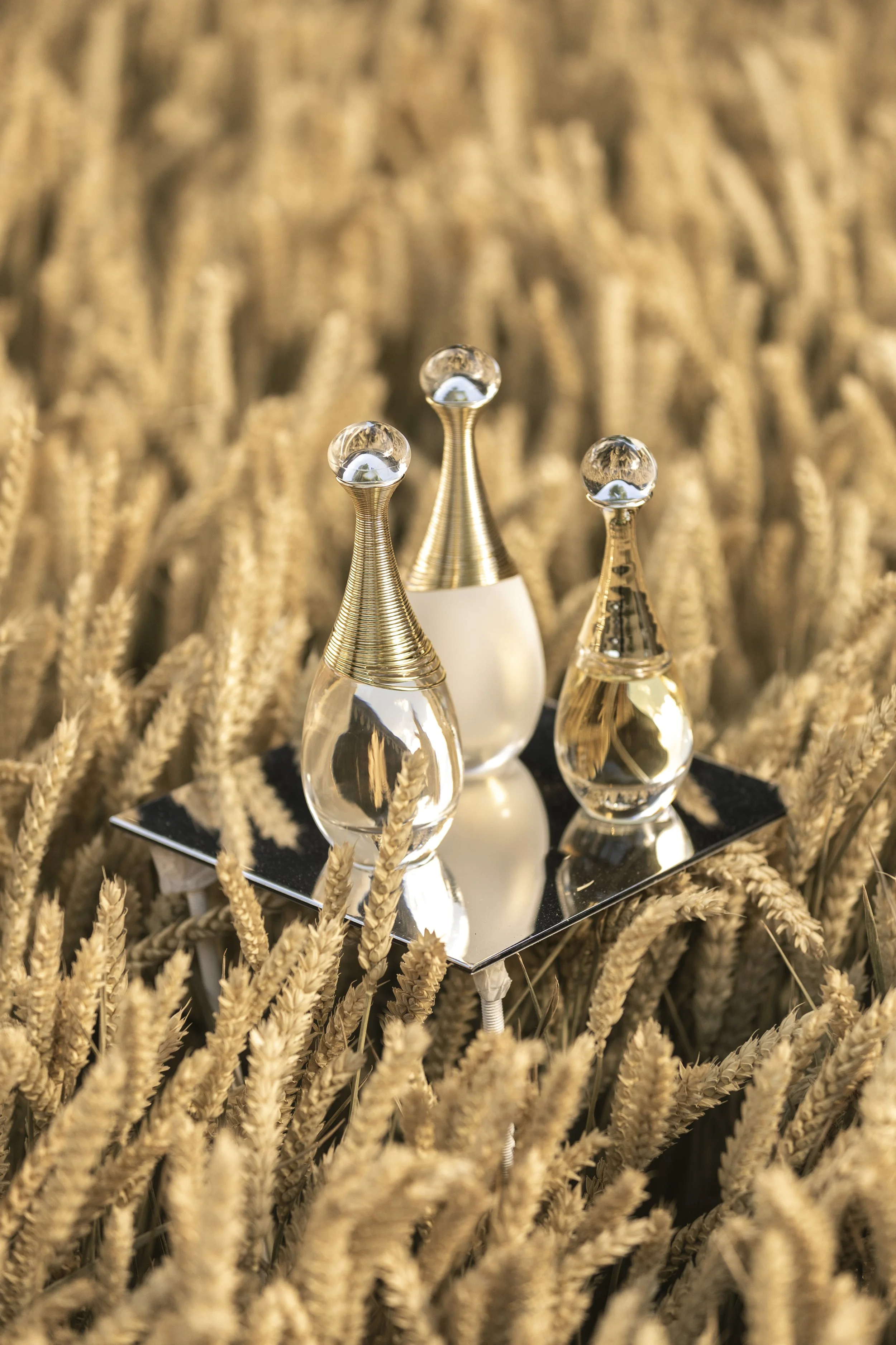 Dior Traitée-1632.jpg