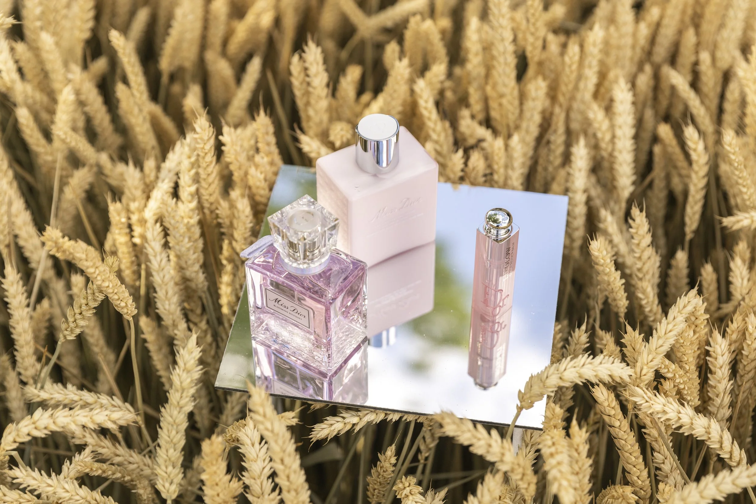 Dior Traitée-0703.jpg