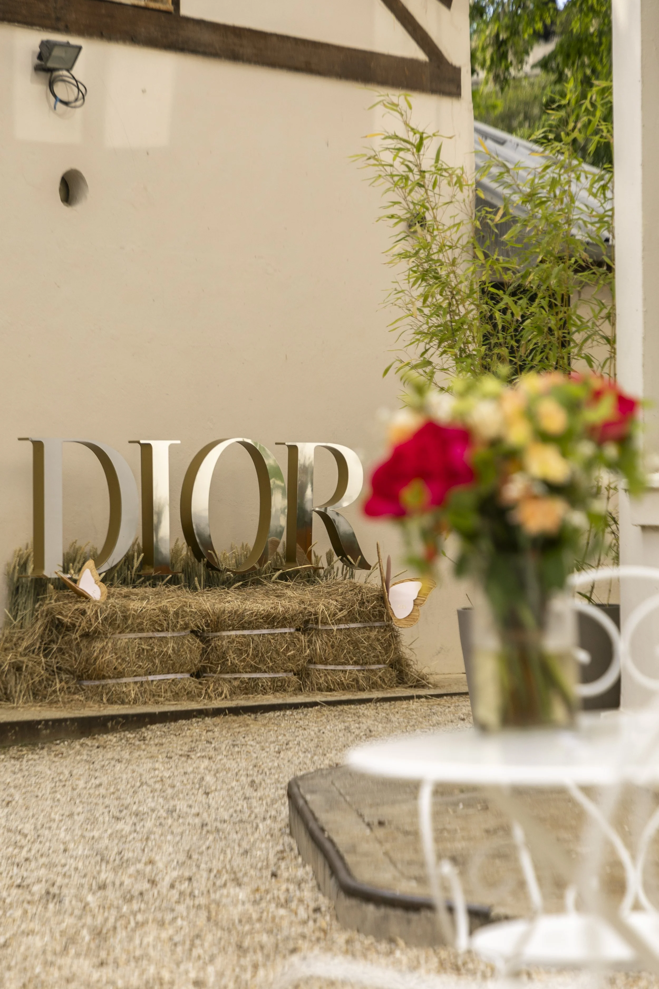 Dior Traitée-2379.jpg