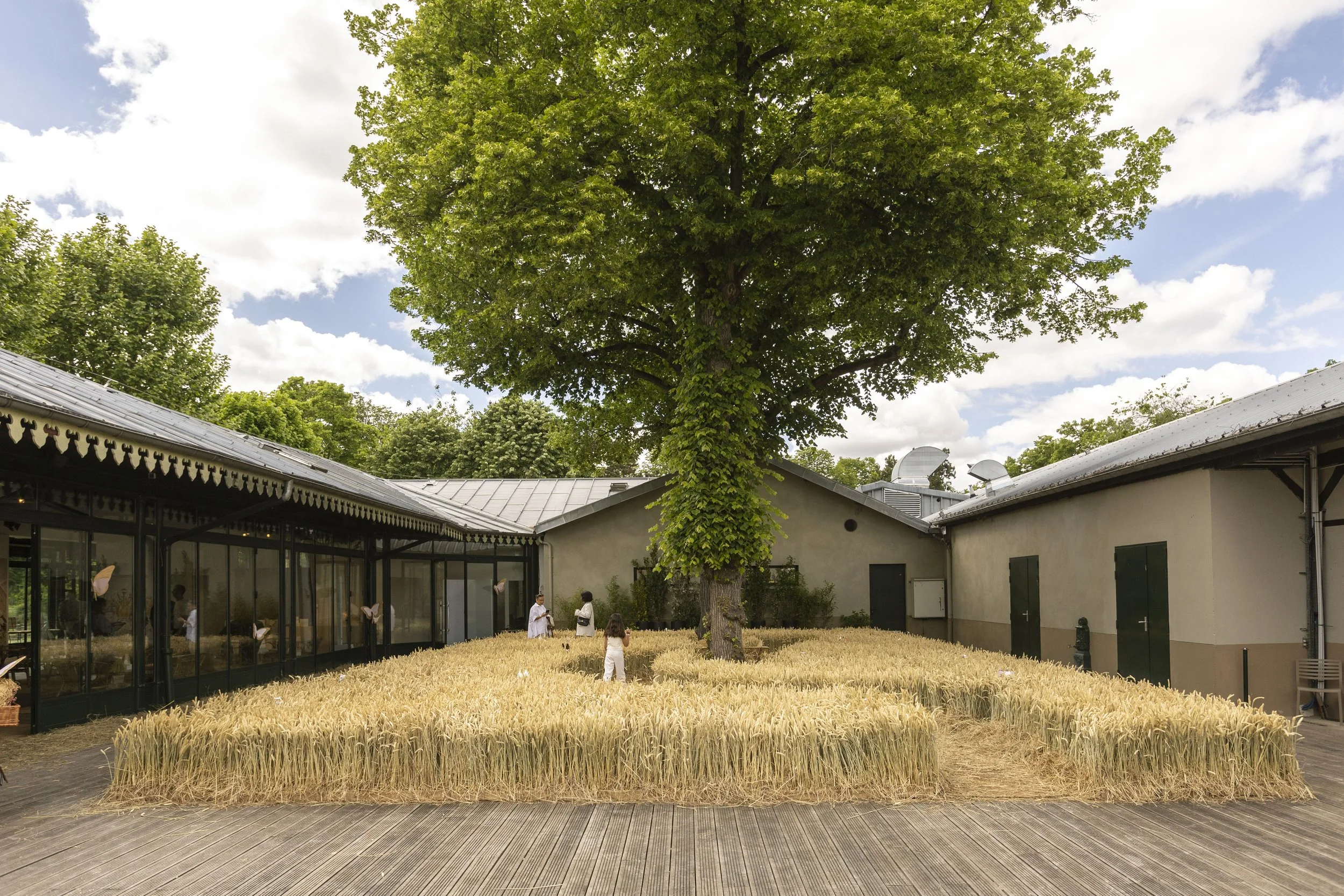 Dior Traitée-0304.jpg