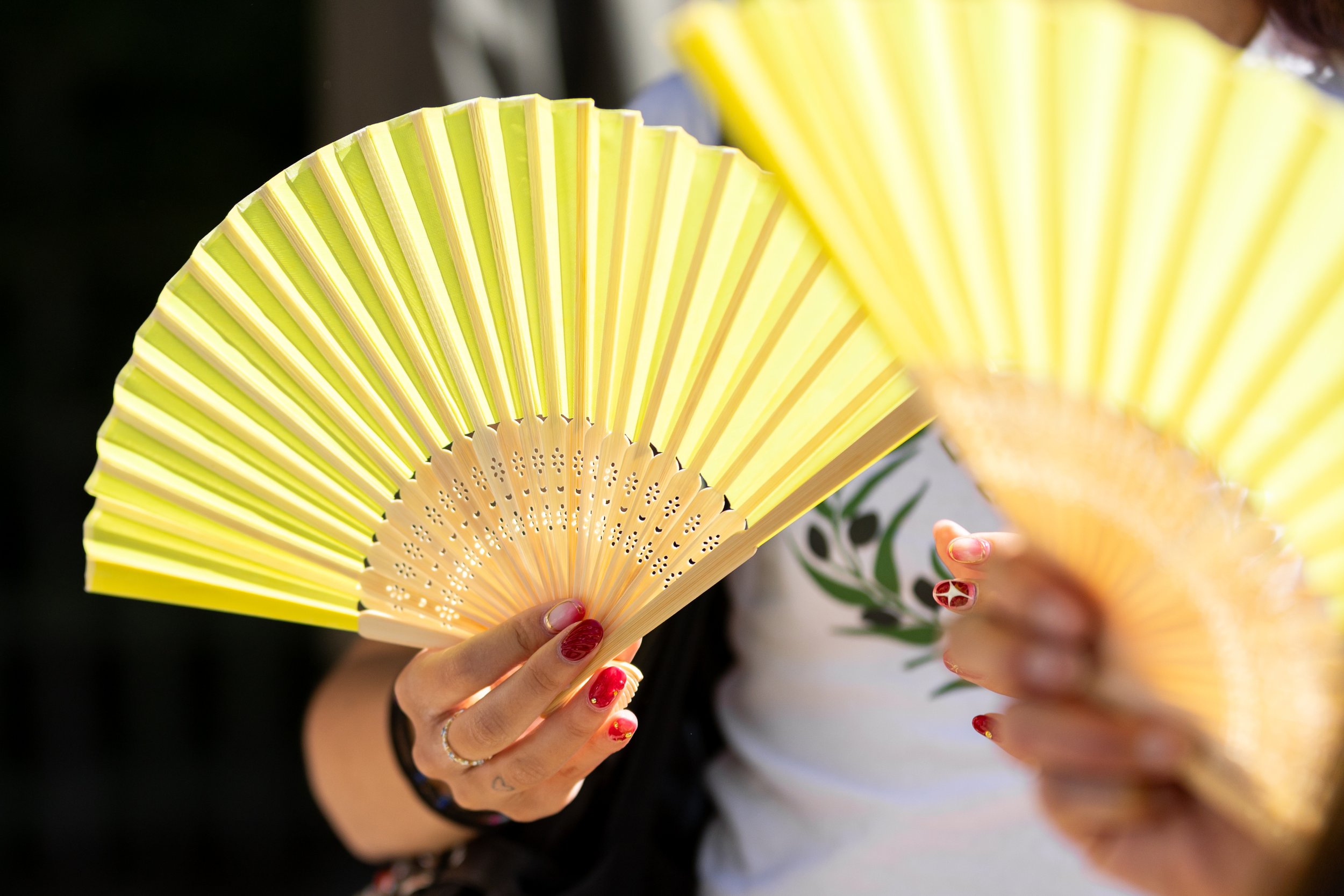 Pavillon Noir - Snapchat Versailles Traitée-2059.jpg