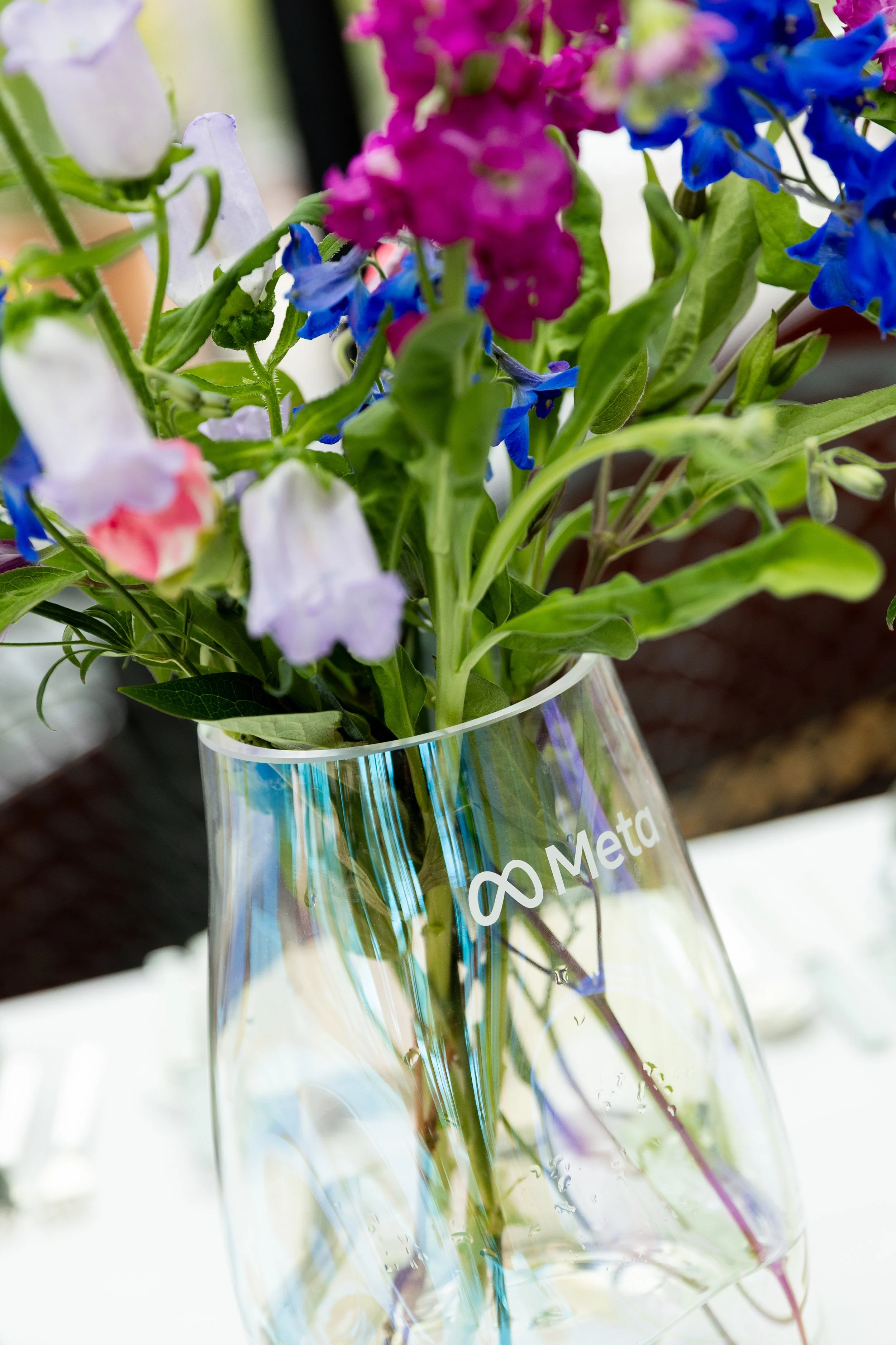 Pavilllon Noir - Meta - Les Ombres Traitée-2442.jpg