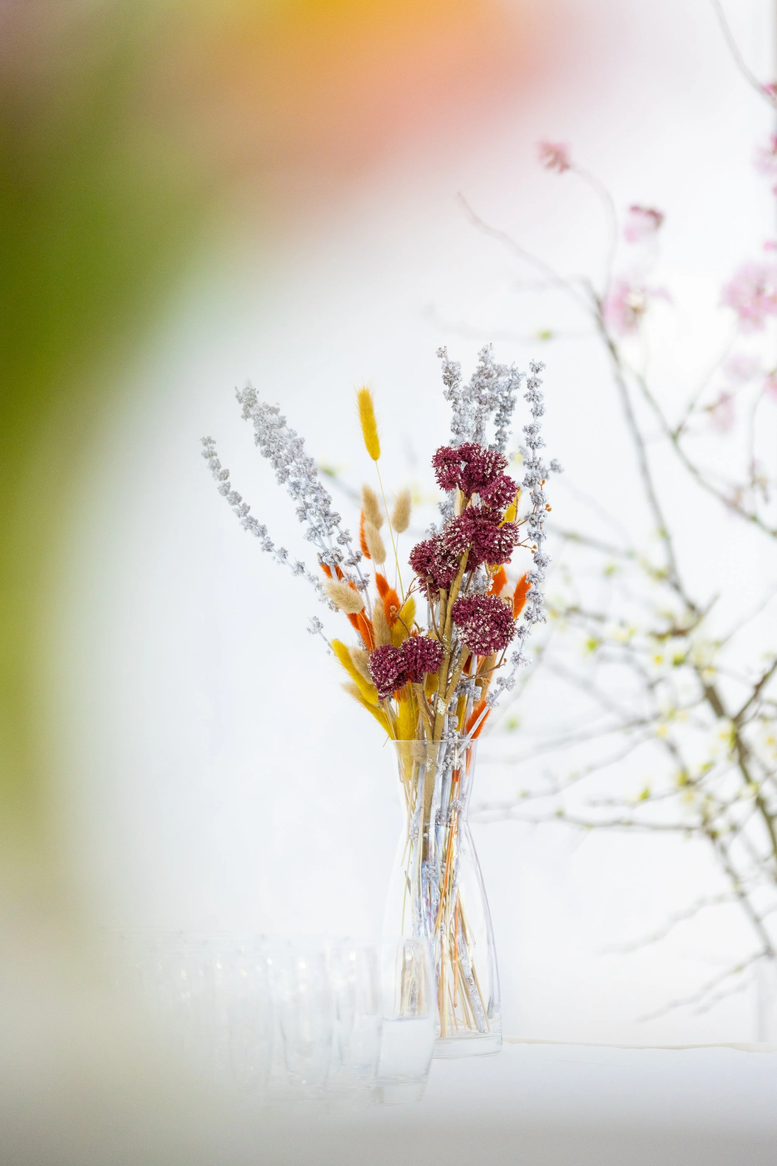 Soirée HP-Plantation Traitée HD-12.jpg