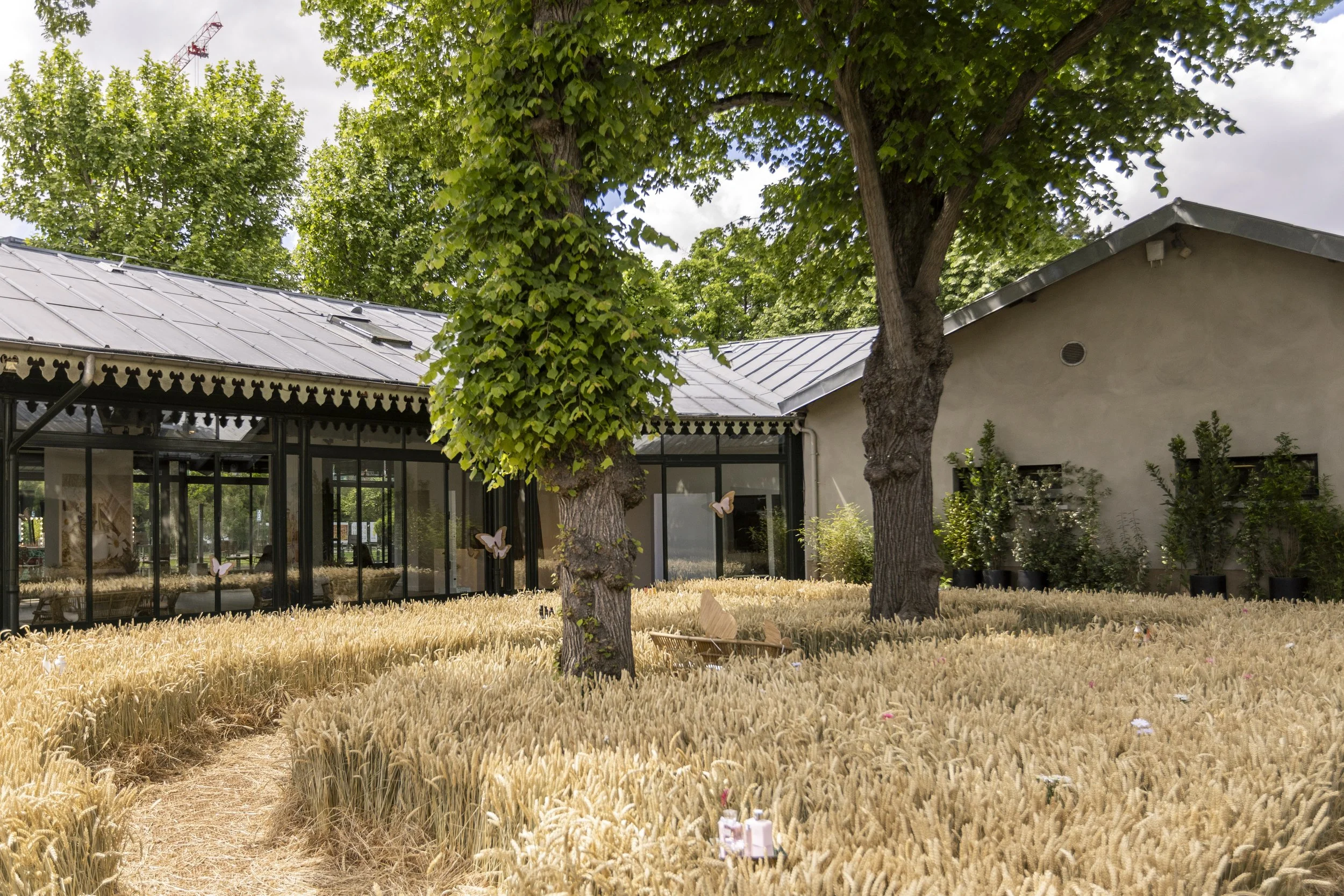 Dior Traitée-9378.jpg