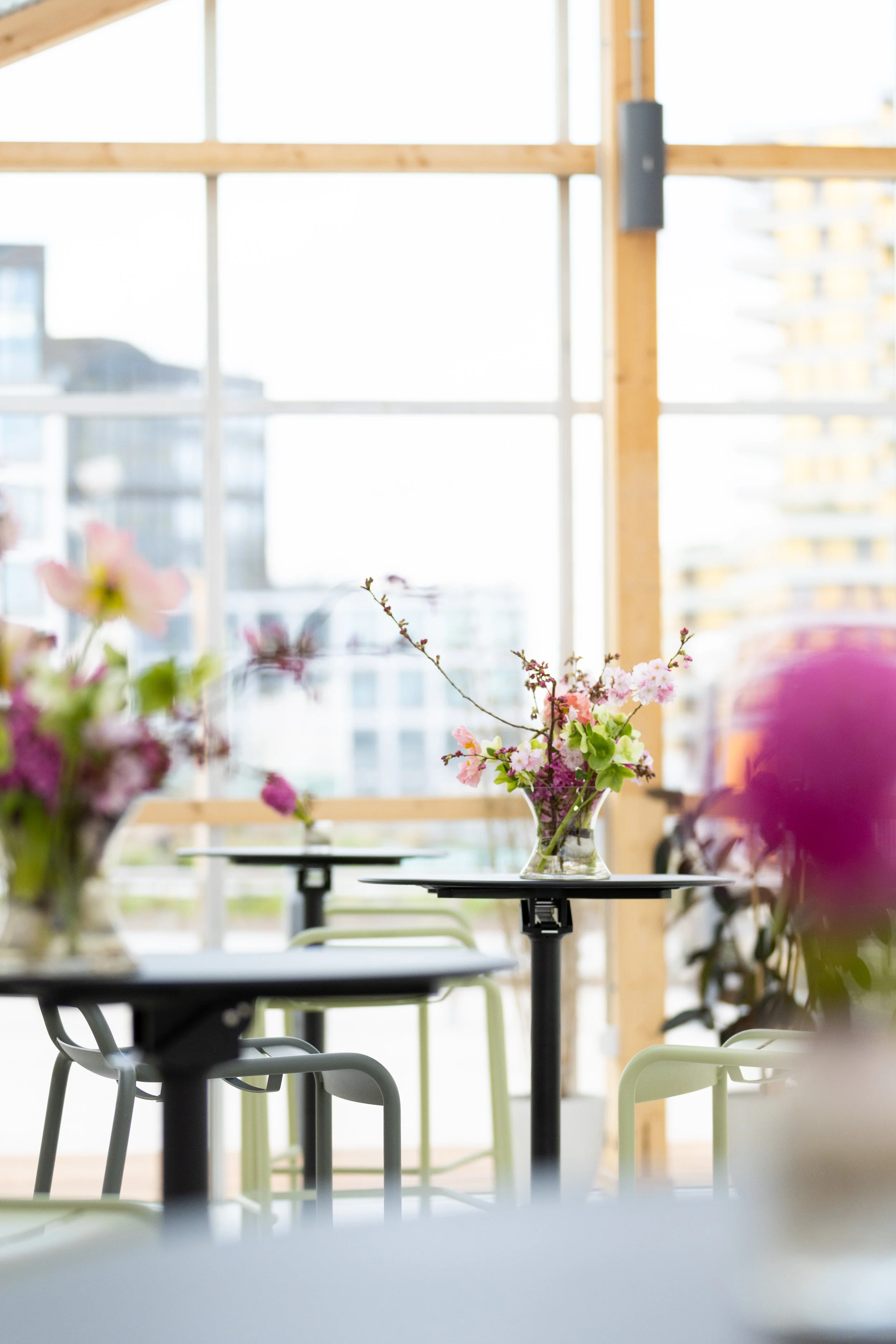 Soirée HP-Plantation Traitée HD-24.jpg