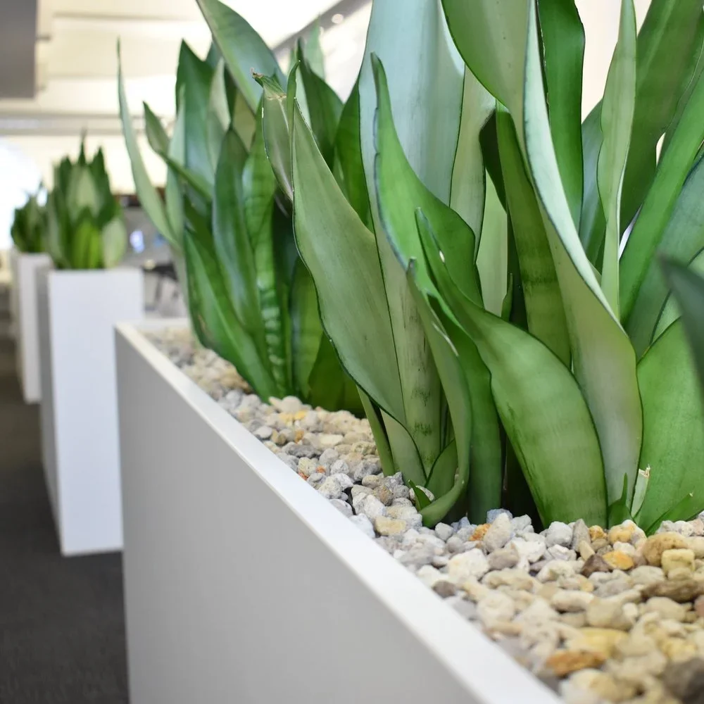 Rethinking Your Footprint: How to Downsize Without Compromise