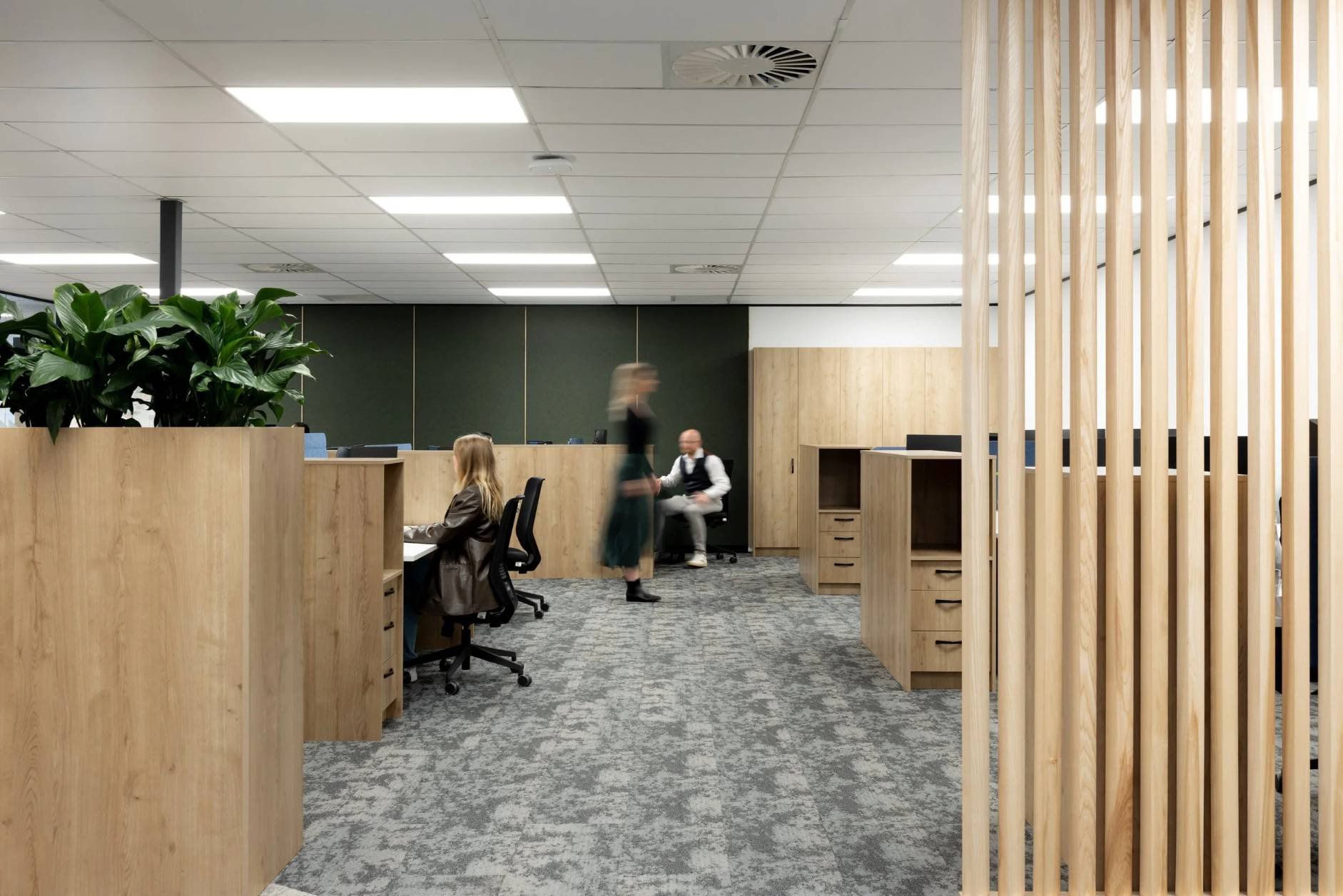 workspace with acoustic panels and slats