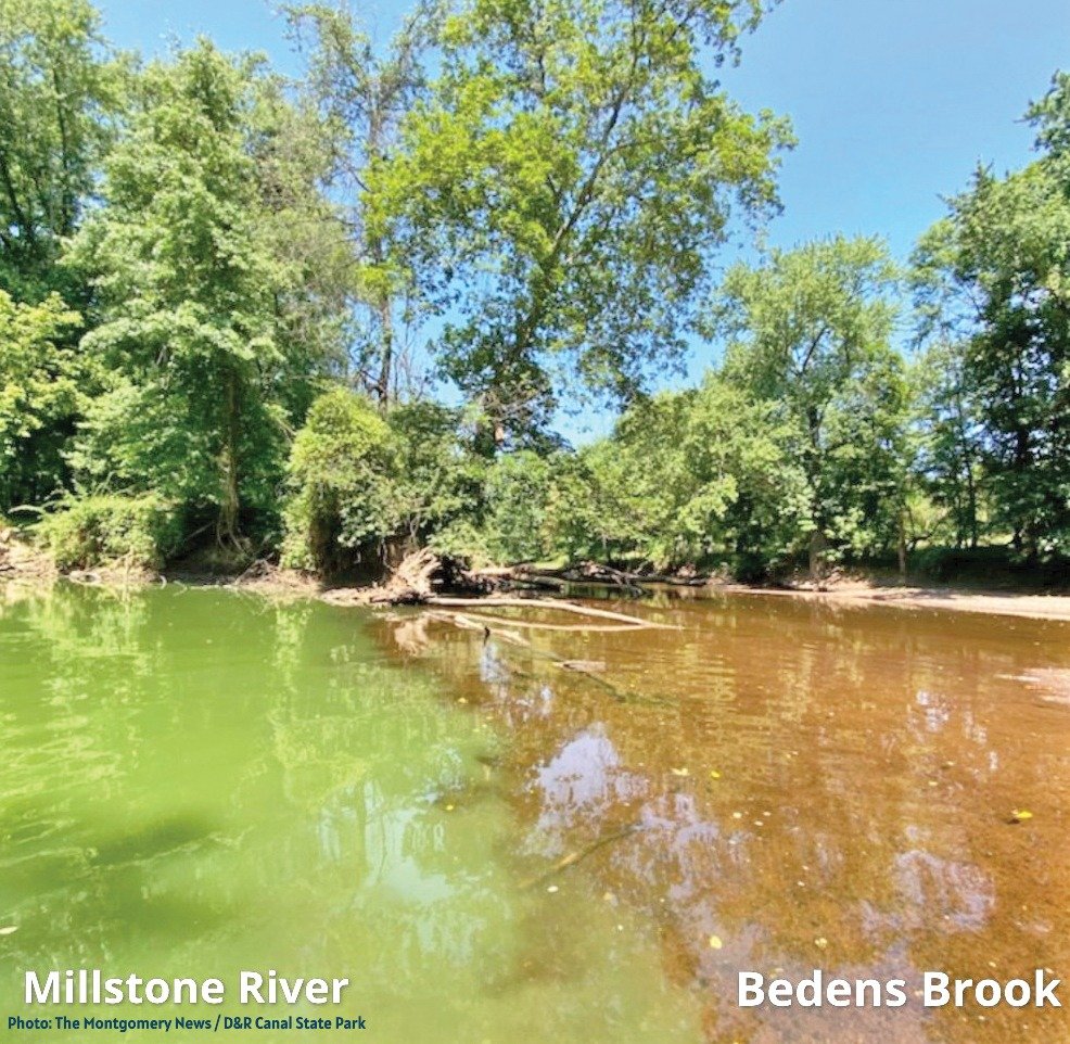 A river with a mixture of green and brown water, surrounded by dense green trees under a blue sky, labeled as Millstone River and Bedens Brook.