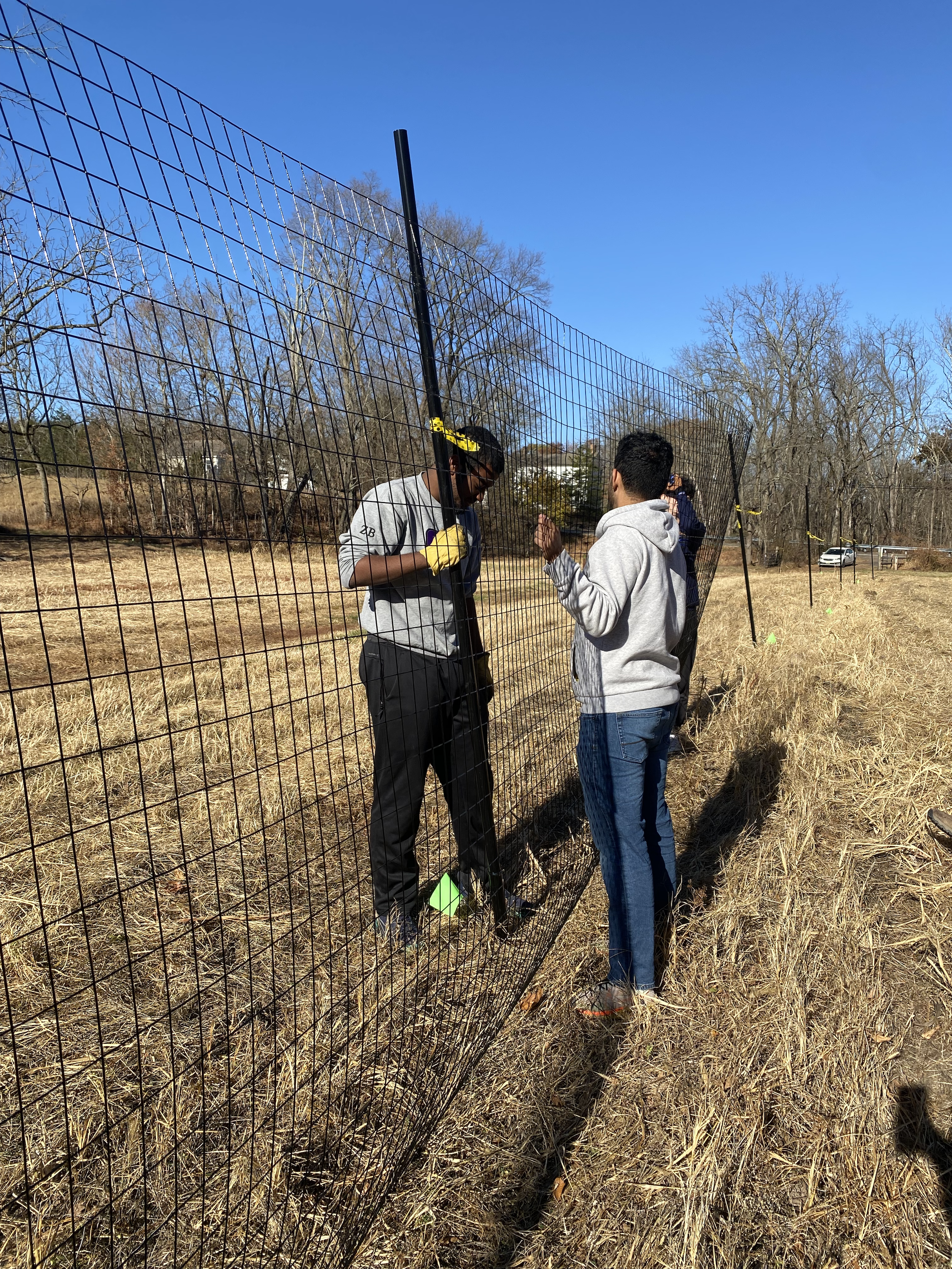 People installing a wire fence in a grassy field on a clear day.