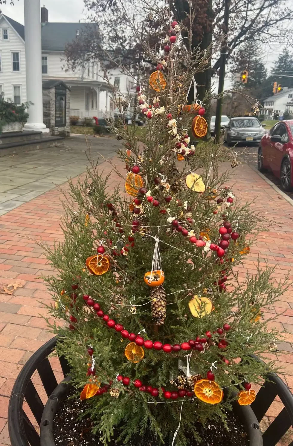 Crafting a Bird-Friendly Christmas Tree