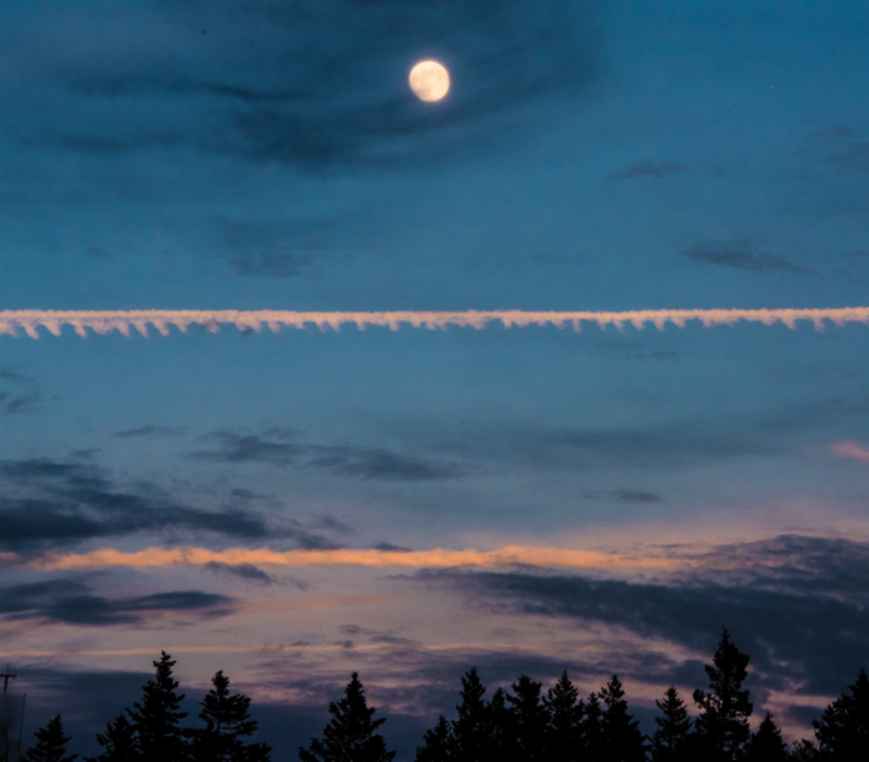 The Moon