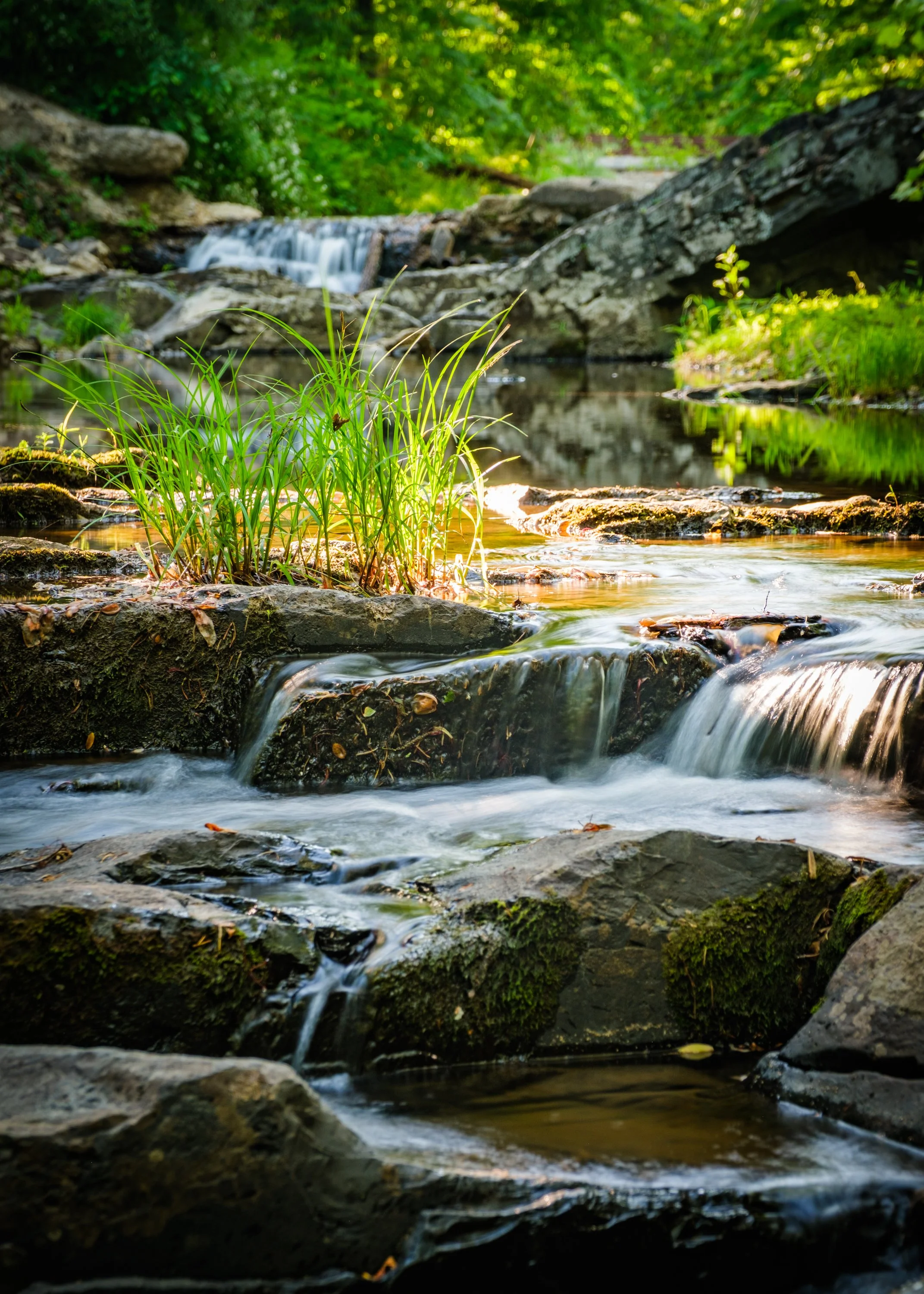 Living Upstream —What It Means to Be in the Sourlands