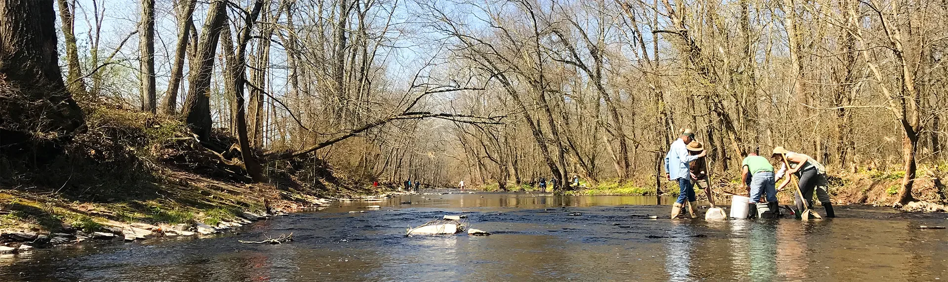 People working in a shallow river among trees on a sunny day.
