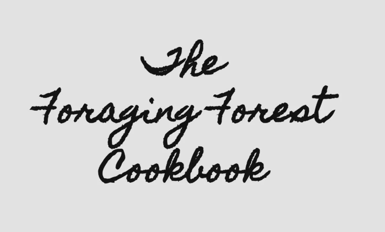 Cover of a cookbook titled 'The Foraging Forest Cookbook' in handwritten-style font on a light gray background.