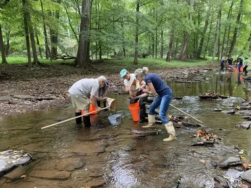 Group of people collecting samples or observing in a shallow creek in a forest, wearing boots and hats.