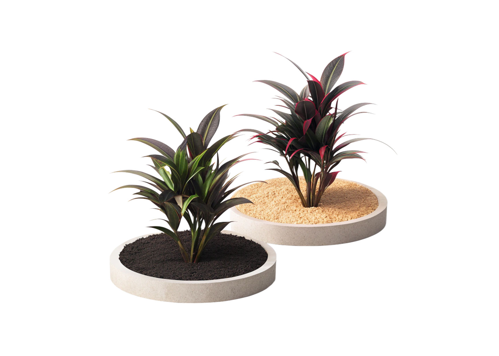 Two potted plants in round planters with dark and light soil