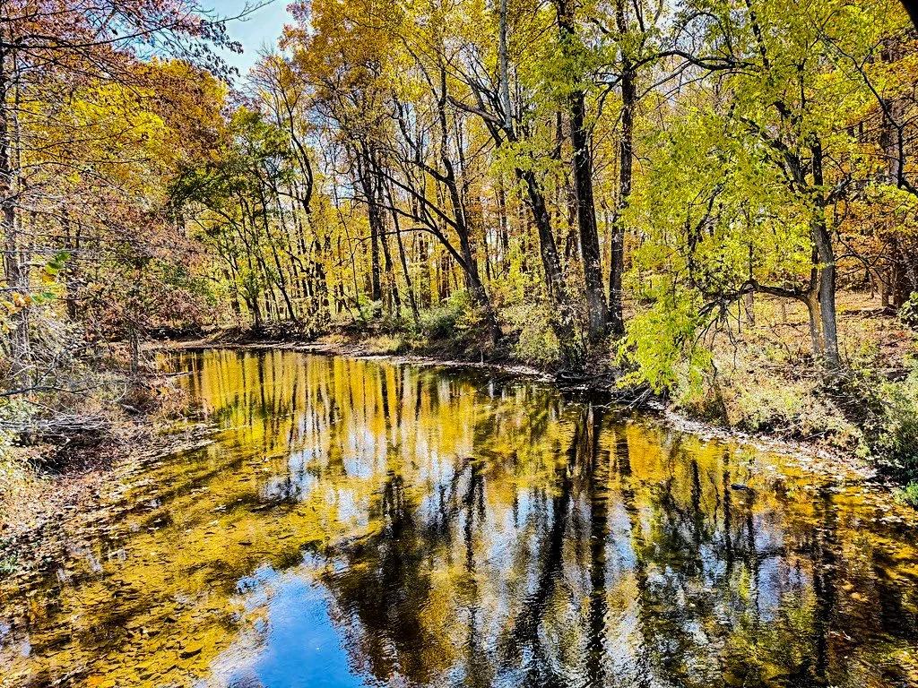 river and fall foliage