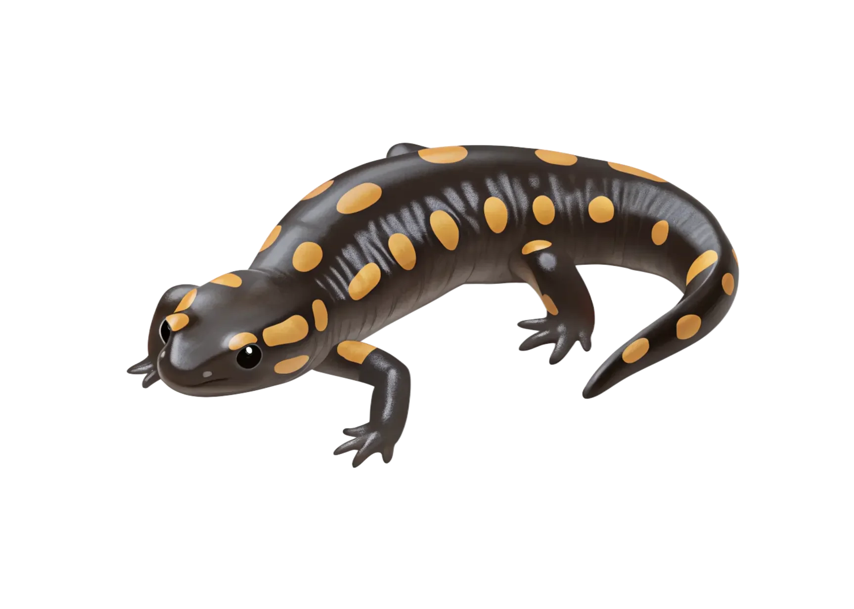 A realistic-looking animated salamander with black skin and orange spots.