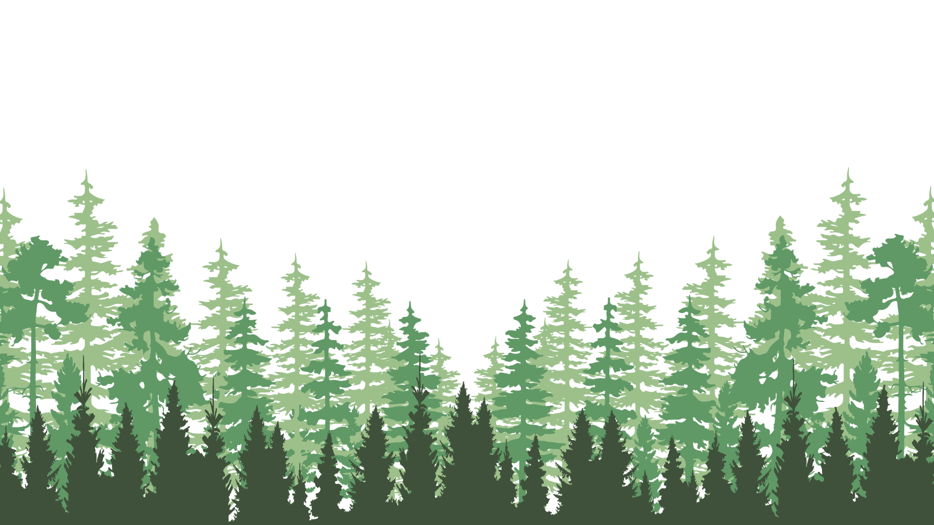 Silhouette of a dense forest of evergreen trees against a black night sky with full moon.