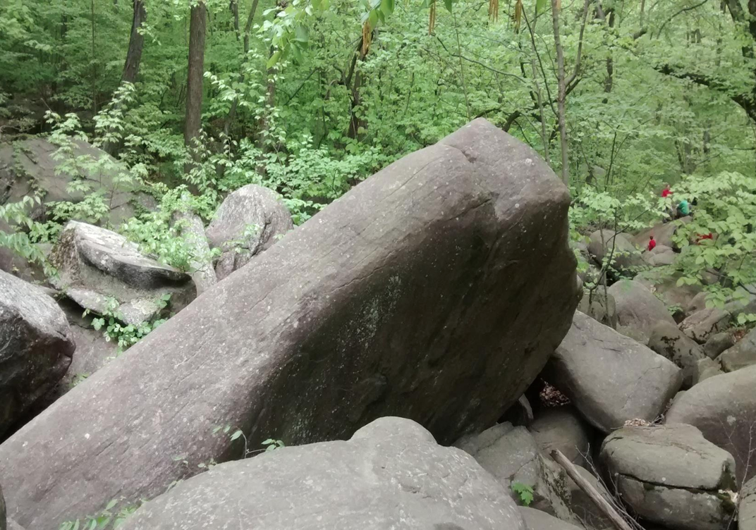 Large boulder in a wooded area surrounded by smaller rocks and green trees.