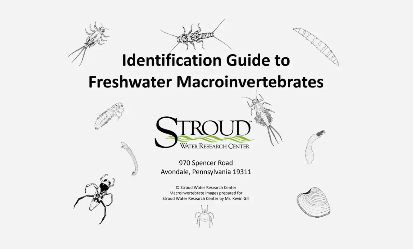 Cover page of a guide titled "Identification Guide to Freshwater Macroinvertebrates" with illustrations of various freshwater macroinvertebrates and the logo of Stroud Water Research Center.
