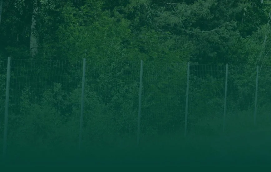A chain-link fence with green trees and bushes in the background.