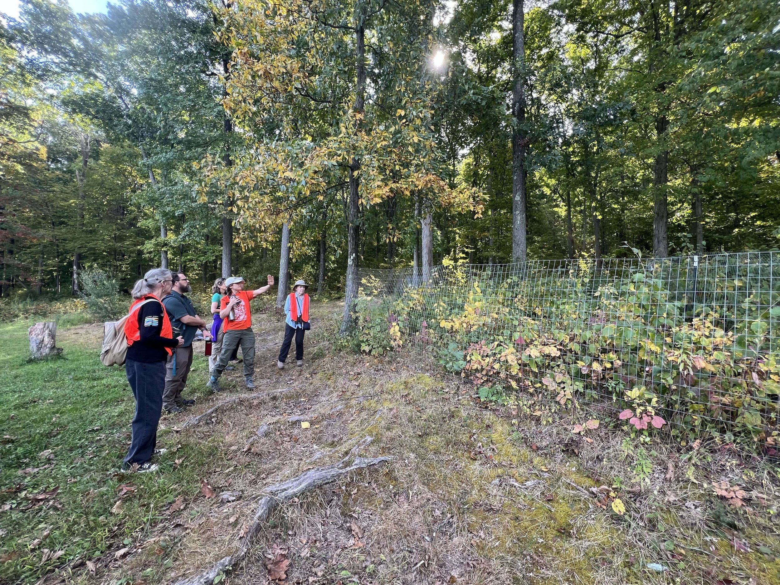 Group of people in outdoor clothing and hats on a nature walk, standing near a wire fence with green foliage and trees in the background, some gesturing or looking at the plants.