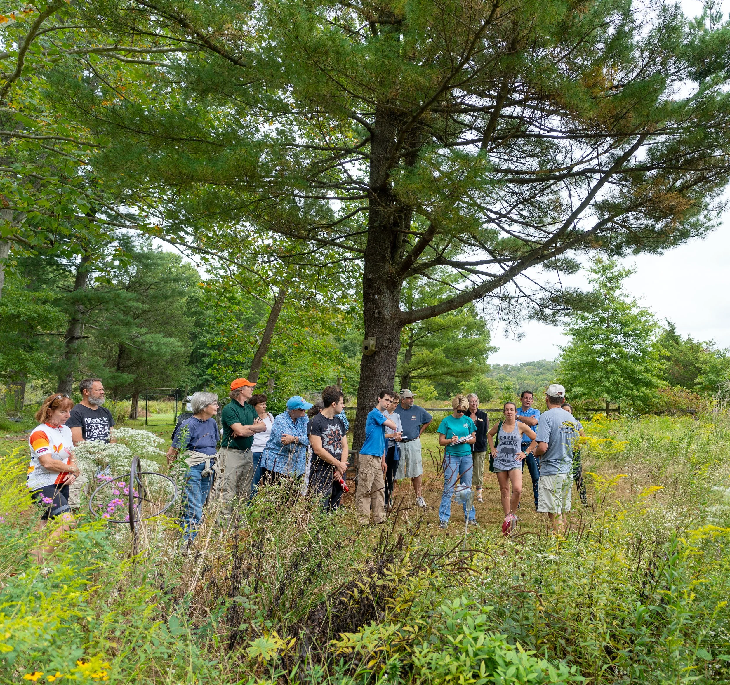 A group of people gathered outdoors under a large tree, listening to a speaker in a park-like setting with lush greenery and wildflowers.