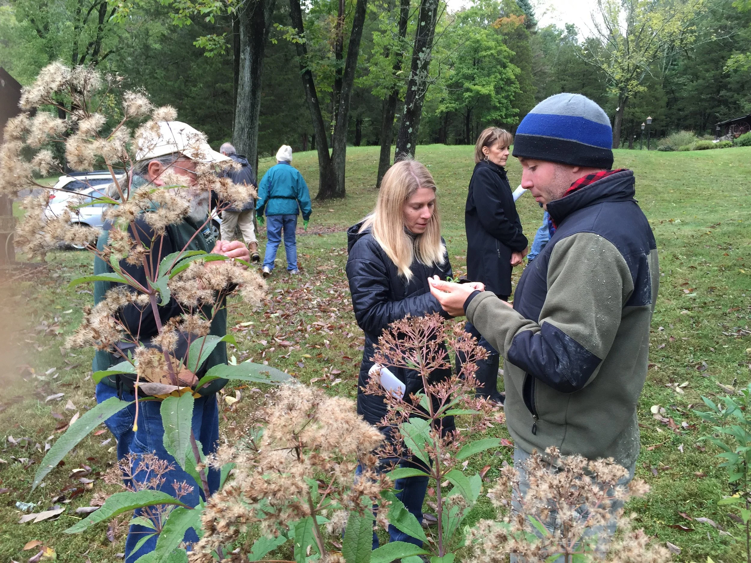 Group of people gathered outdoors in a grassy, wooded area, examining plants, with some carrying notebooks, during daytime.