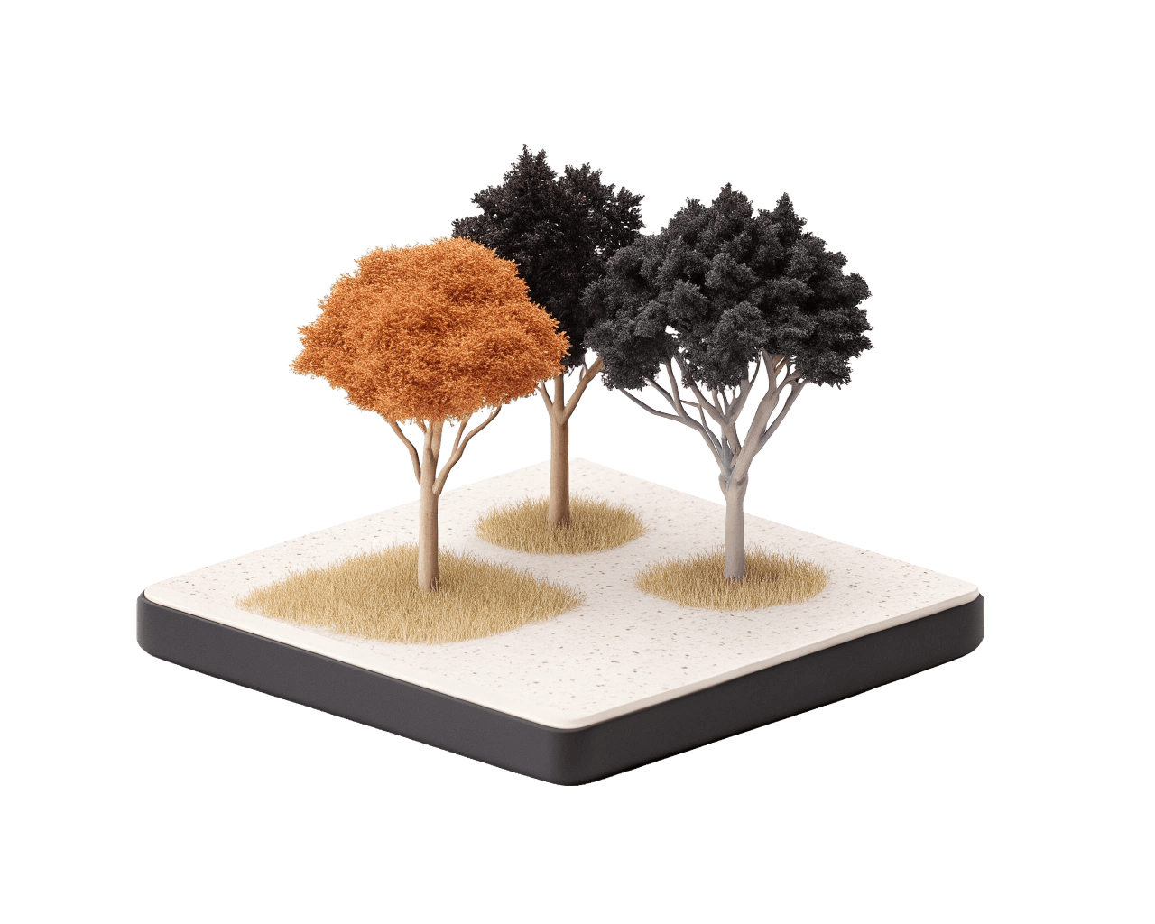 Three miniature trees with different colored leaves on a square base with sand and grass patches.
