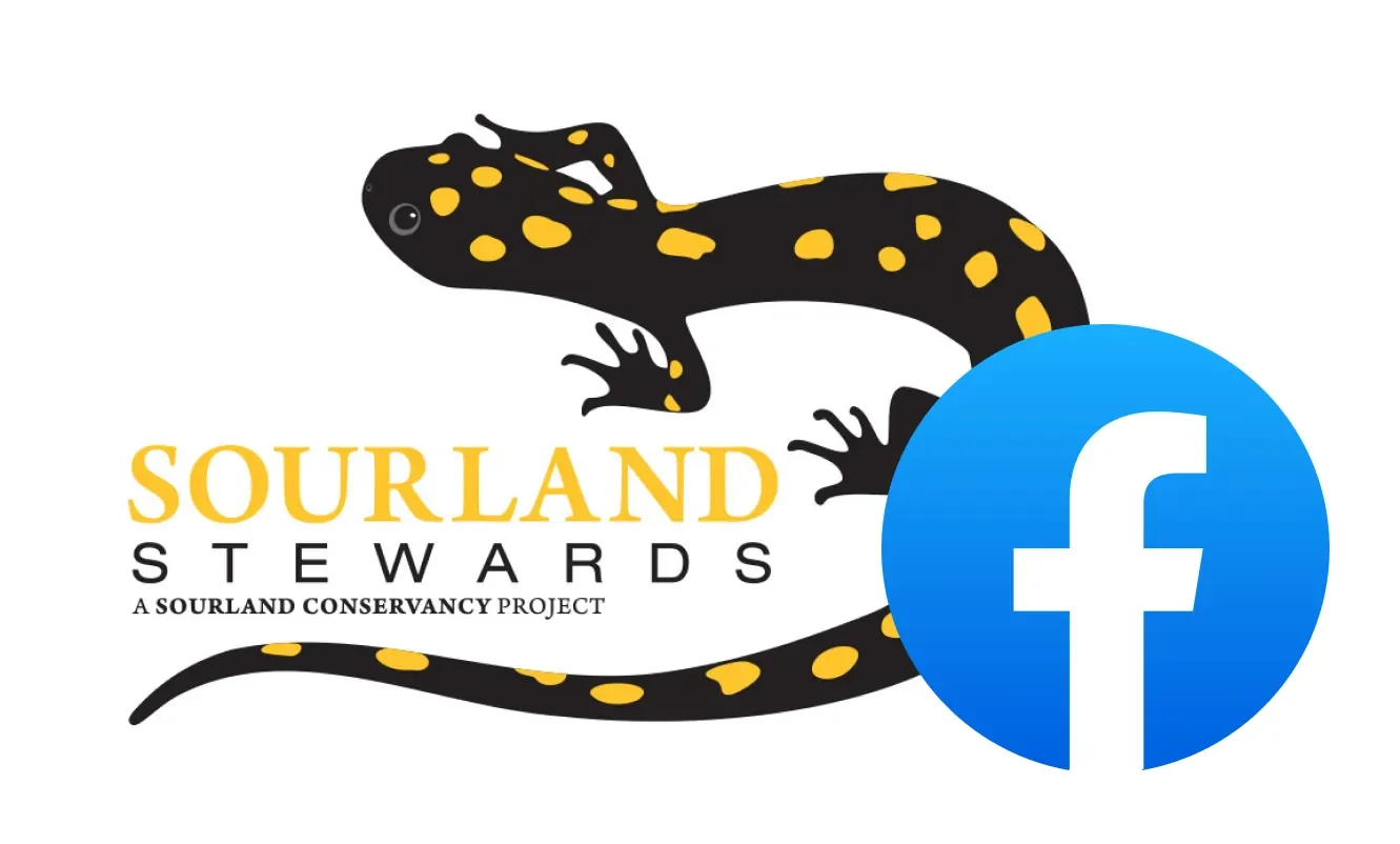 Logo for Sourland Stewards featuring a black salamander with yellow spots, the text "Sourland Stewards," and a blue Facebook icon.