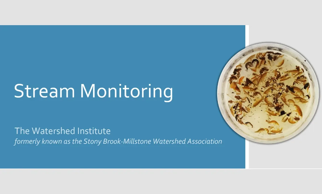 Slide presentation titled 'Stream Monitoring' by The Watershed Institute, formerly known as the Stony Brook-Millstone Watershed Association, with a bowl of small fish and aquatic creatures.
