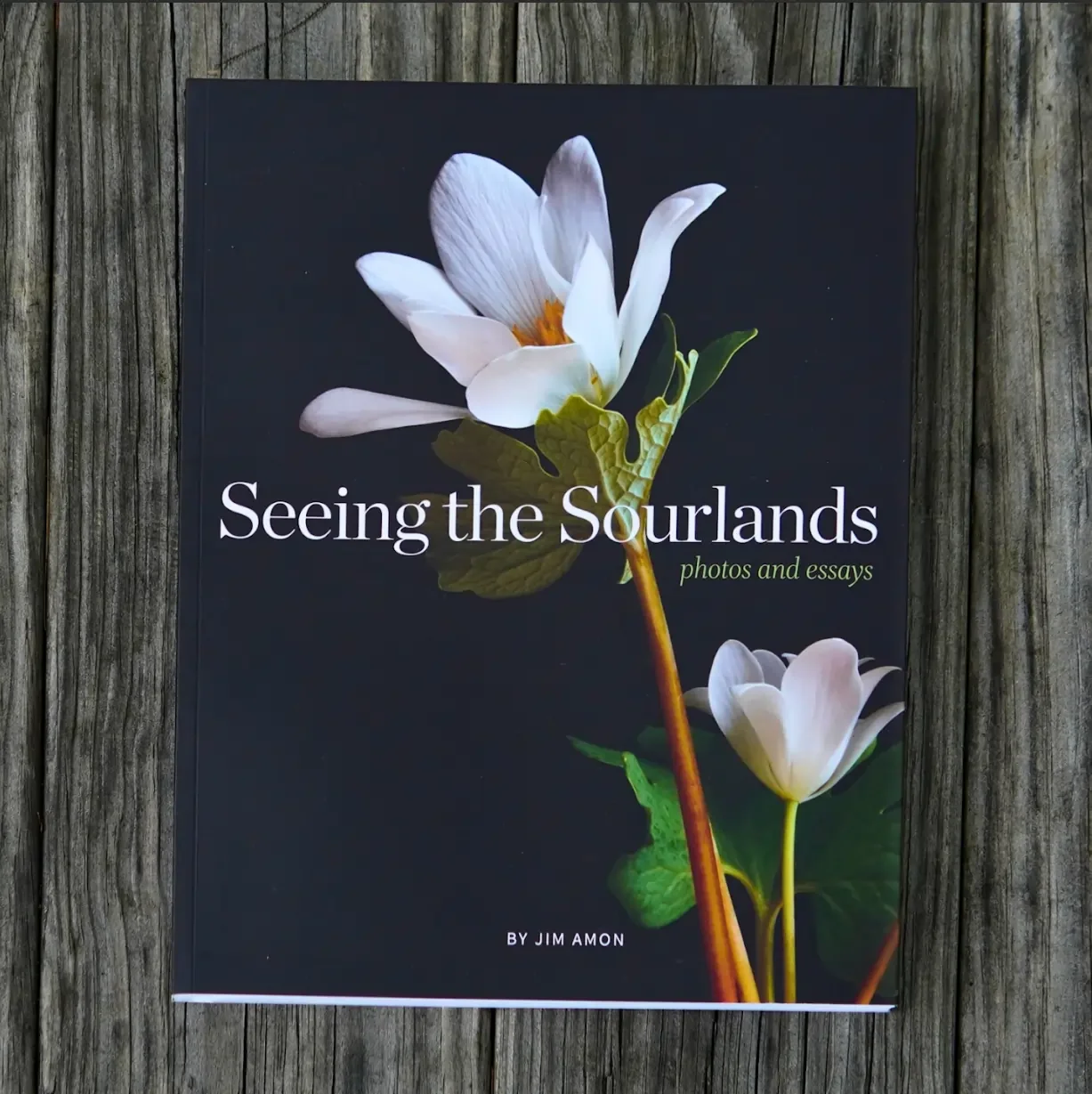 Seeing the Sourlands by Jim Amon