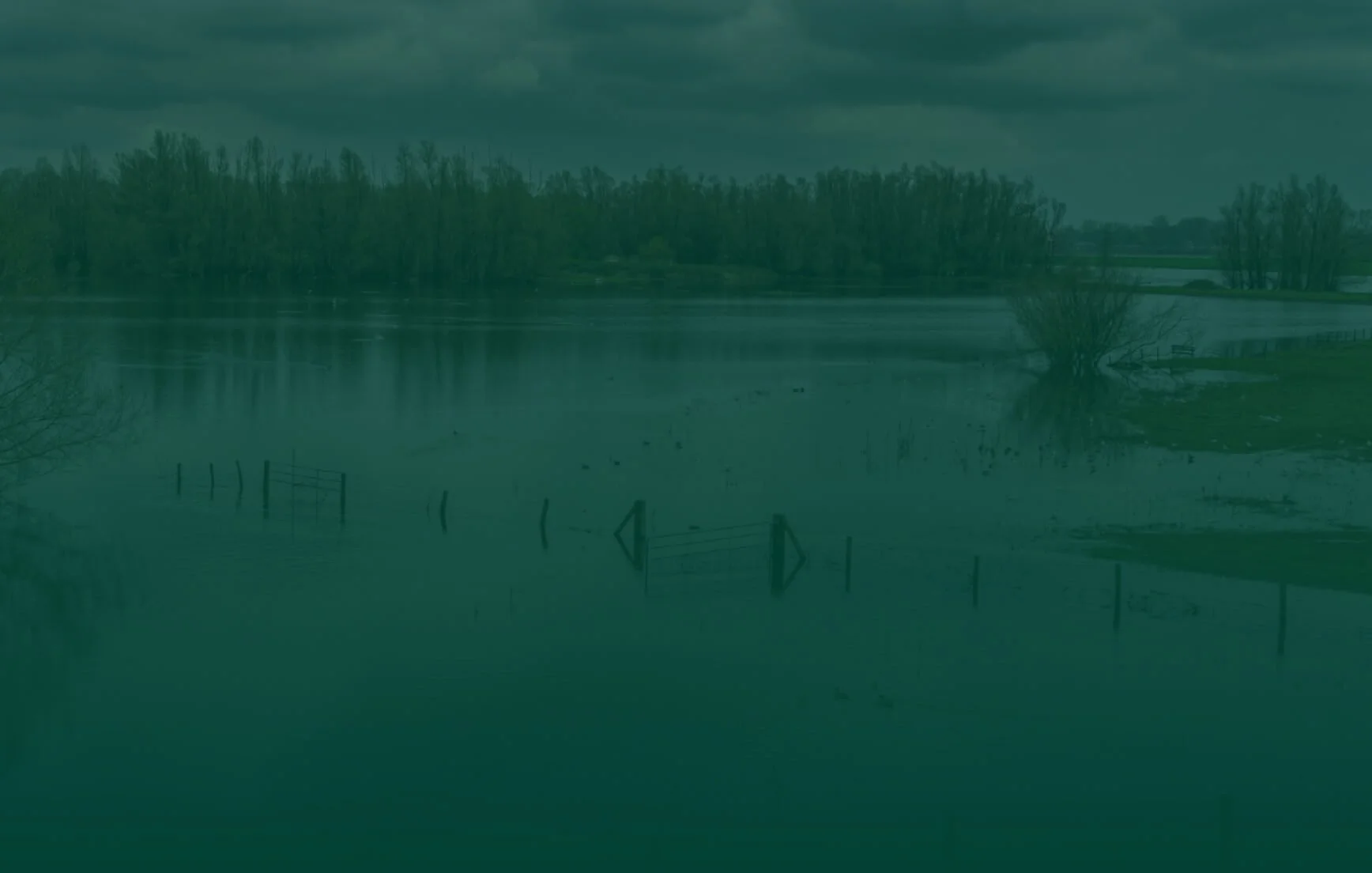 Flooded field with partially submerged fence and leafless trees under cloudy sky.