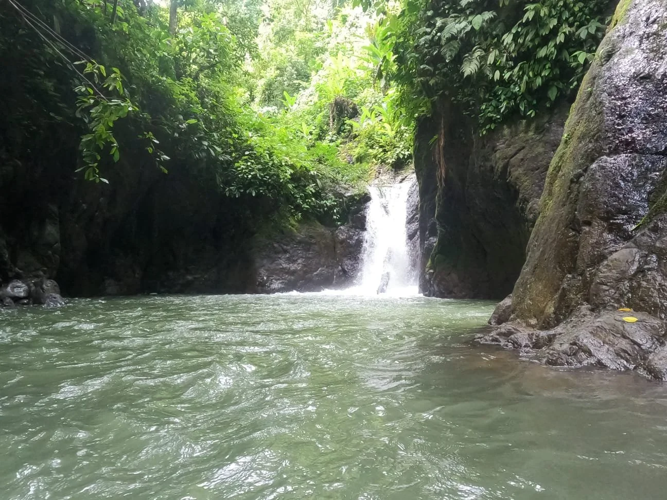 WhatsApp Image 2026-01-11 at 9.45.28 AM.jpeg