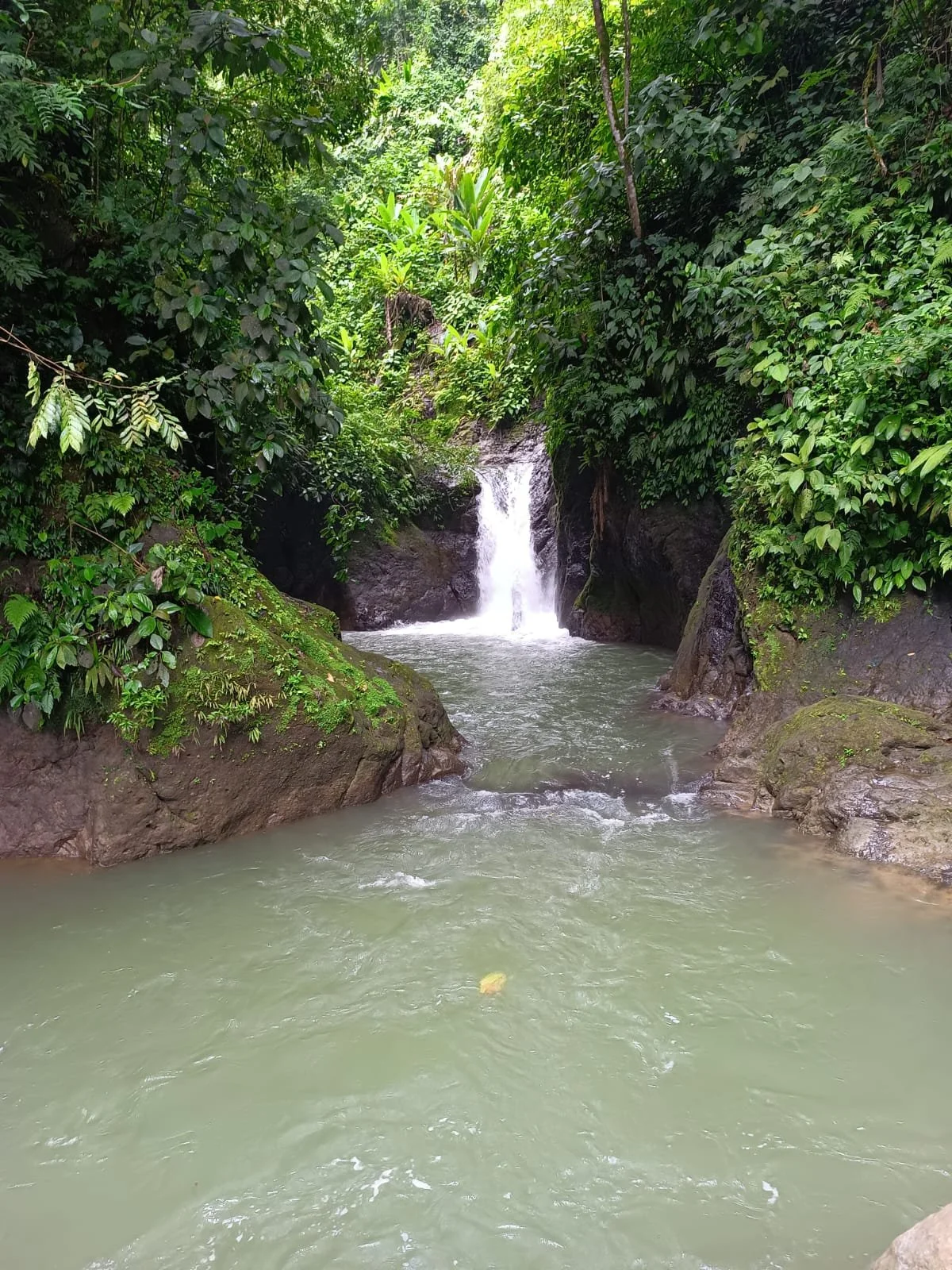 WhatsApp Image 2026-01-11 at 10.08.50 AM.jpeg