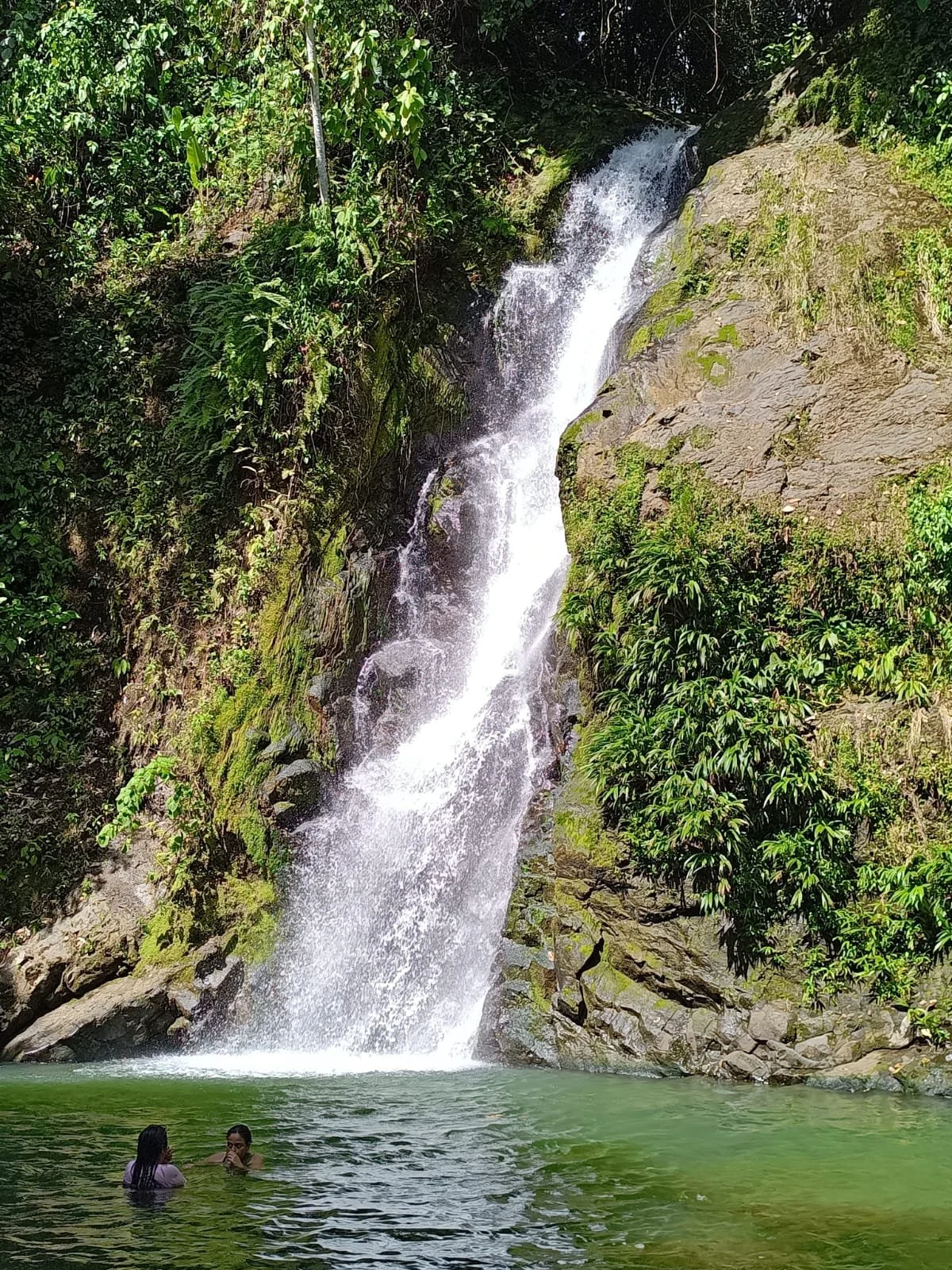 WhatsApp Image 2026-01-11 at 8.27.40 AM.jpeg