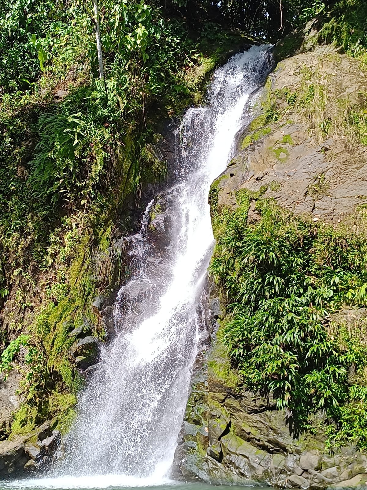 WhatsApp Image 2026-01-11 at 8.27.40 AM (1).jpeg