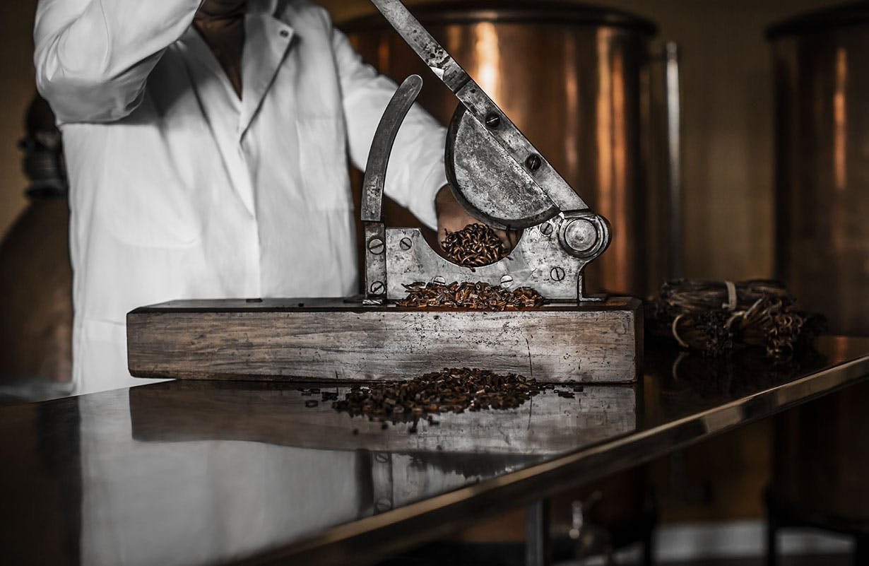 Artisan cutting vanilla pods in a laboratory using a traditional tool, illustrating Guerlain’s craftsmanship and the preparation of natural ingredients used in luxury perfumery