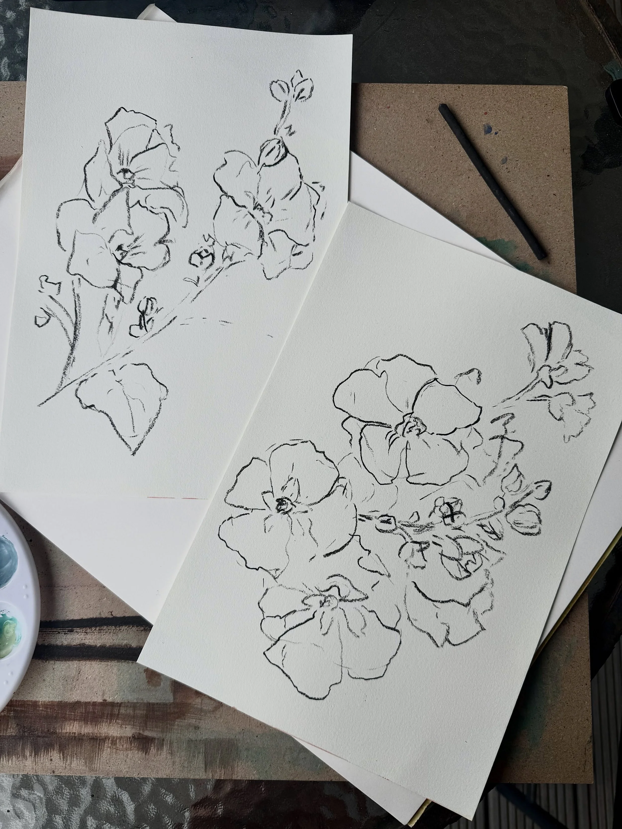 to anyone who has ever seen me creeping around their front garden, i sincerely apologise. i was just taking photos of your flowers to use as references for drawings <3