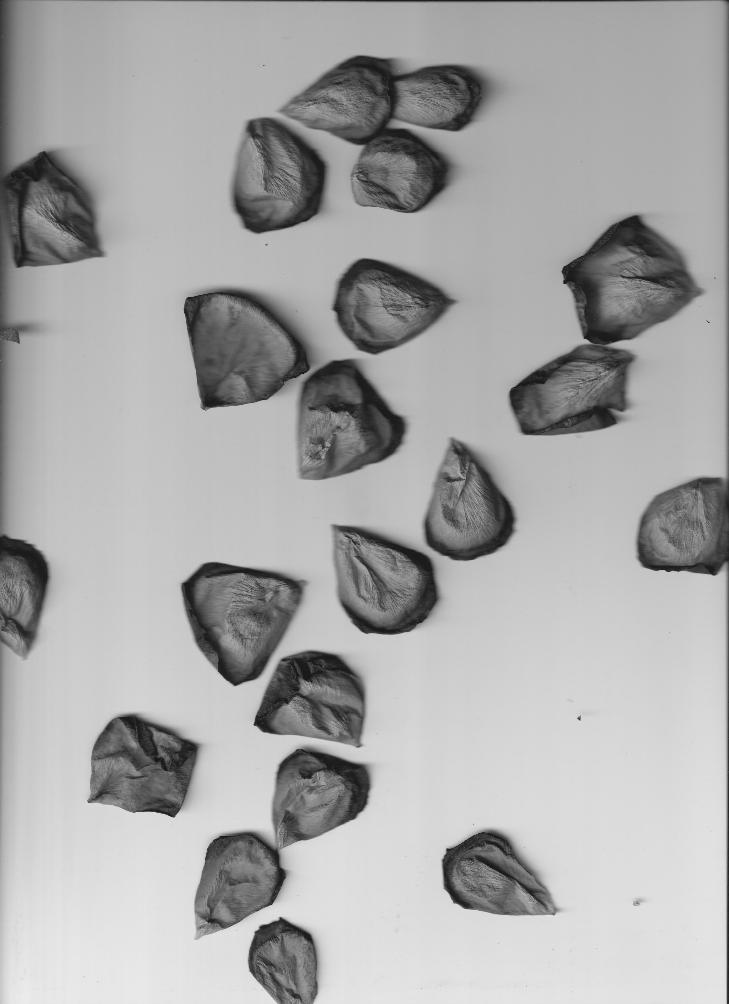 Scan 60.jpeg