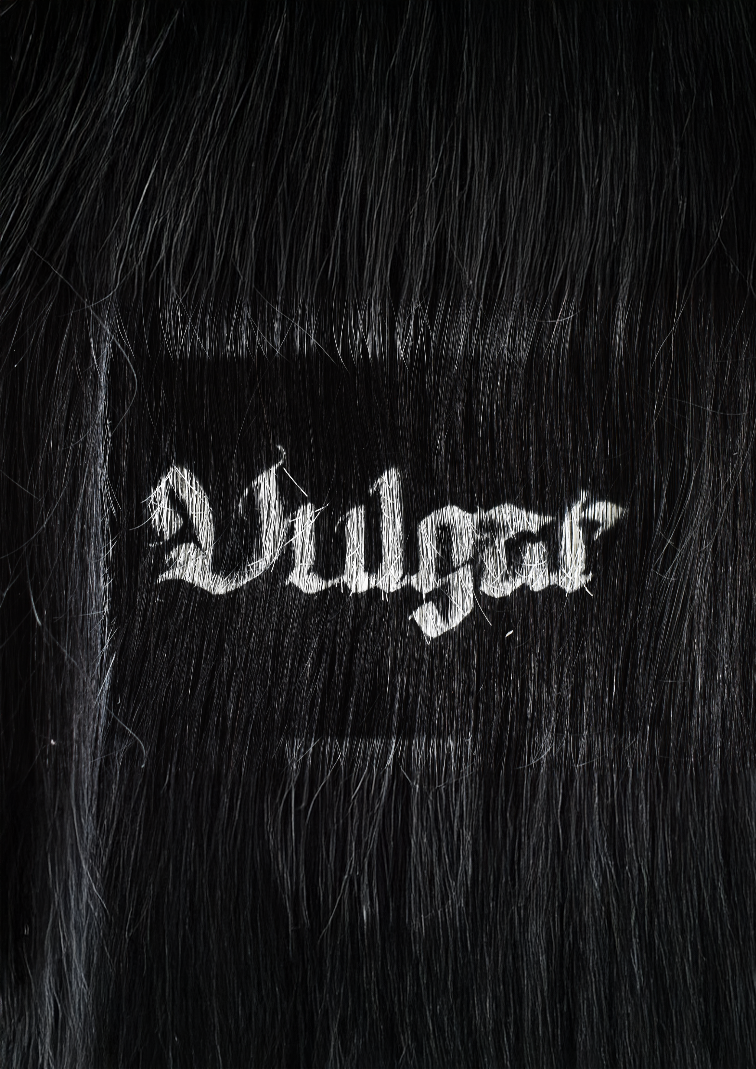 Spray painted text "vulgar" in blackletter font, spray painted over hair