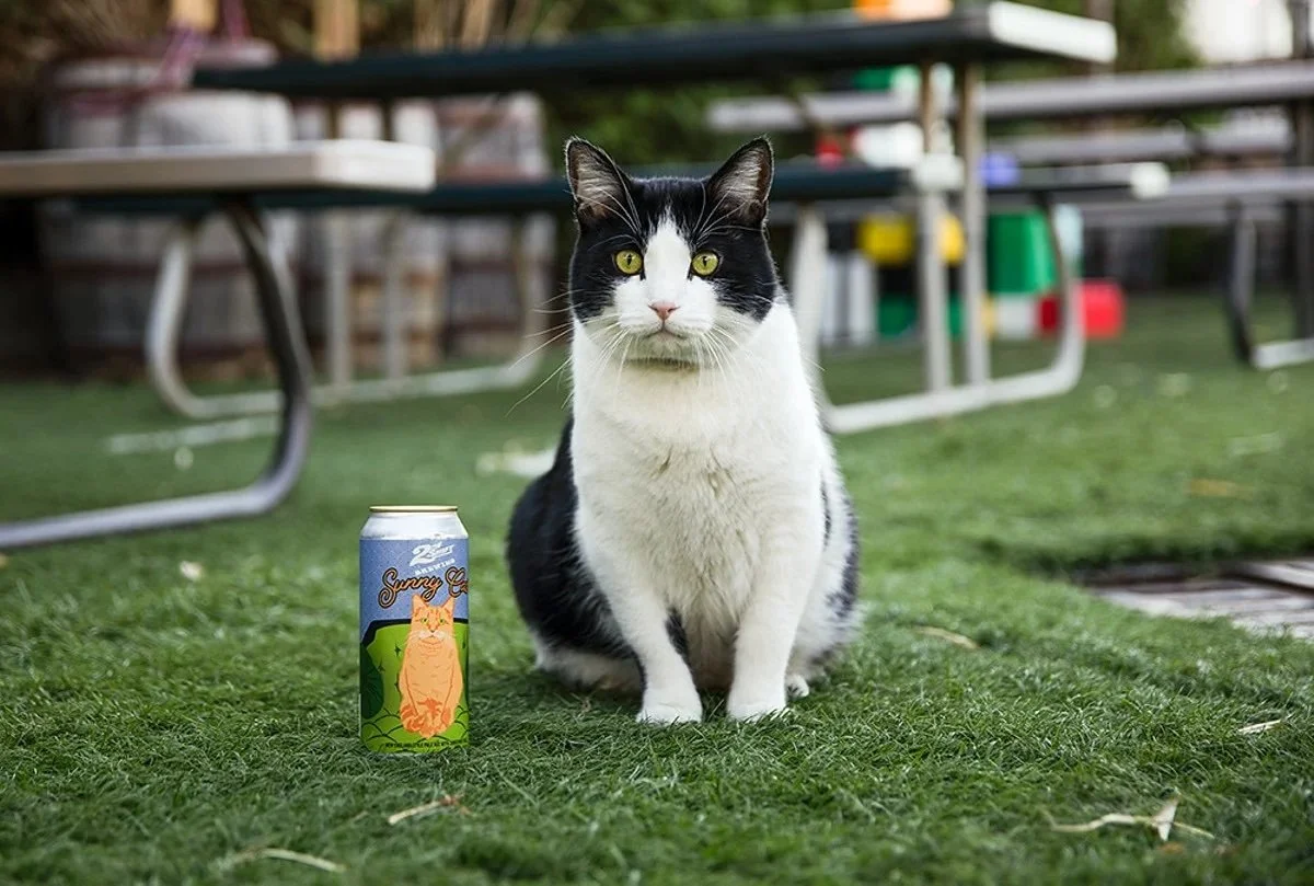 How Sunny the Cat Inspired 2nd Shift Brewing's Sunny Cat IPA