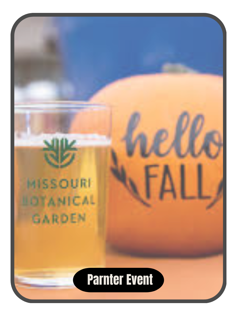 Fest-of-Ale