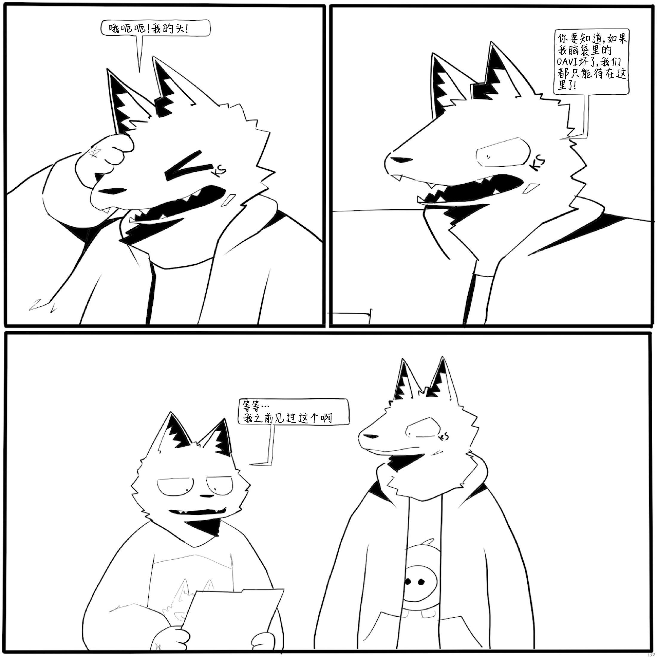17.jpg