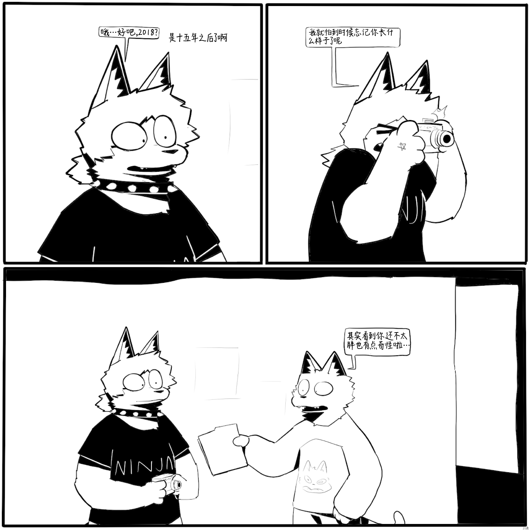 20.jpg