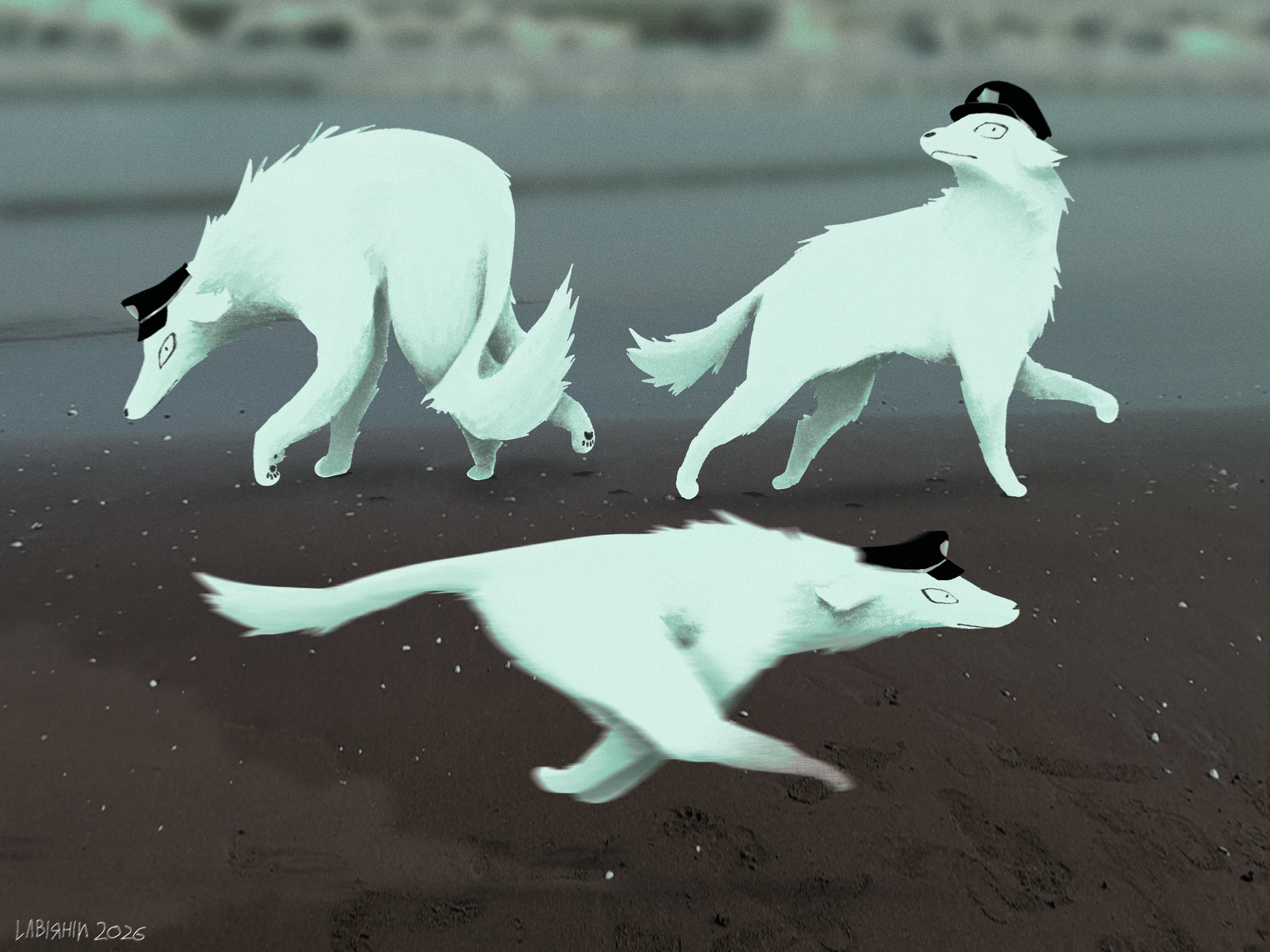 IMG_0245.png